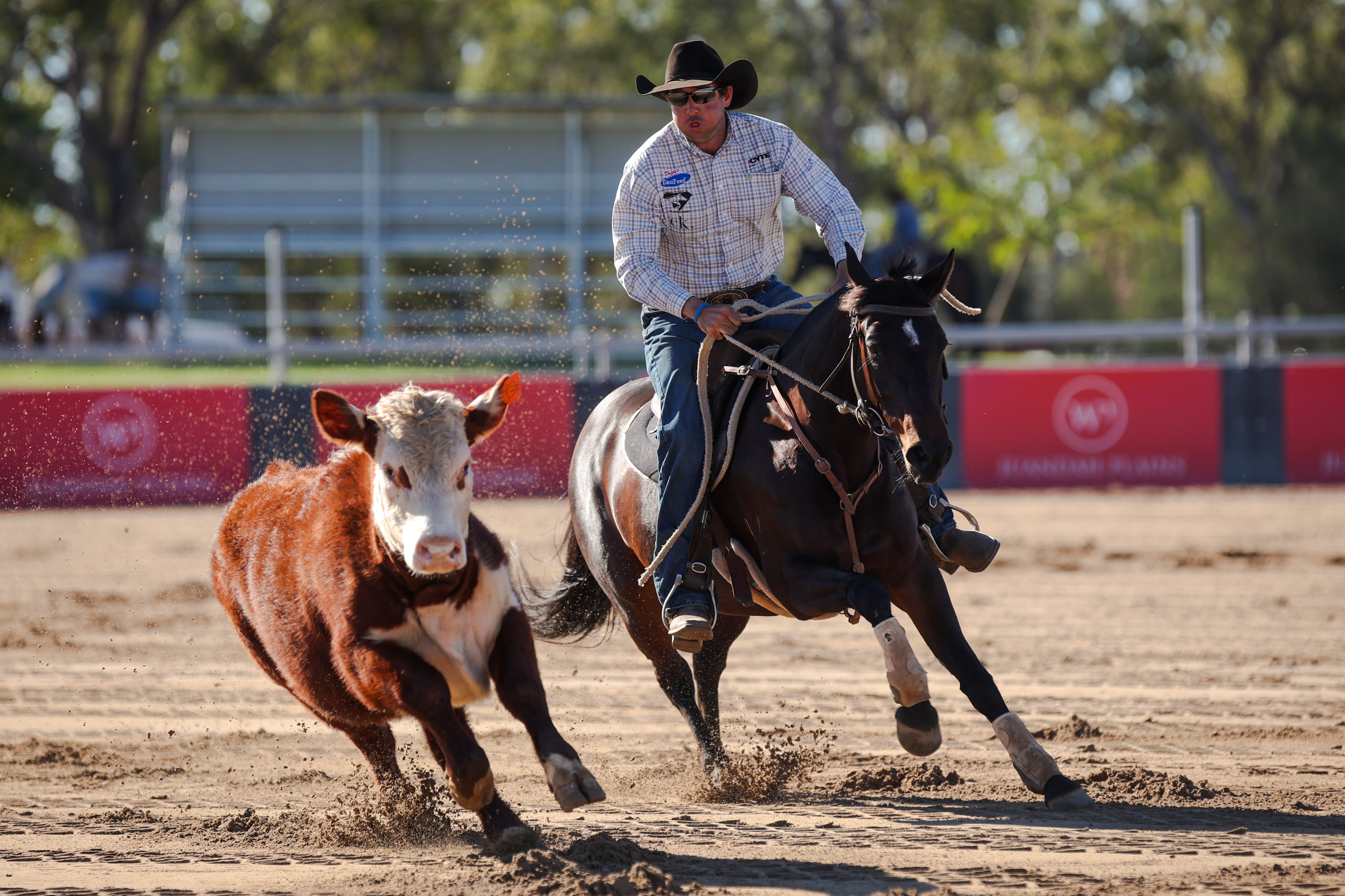 Matthew Moffat and Somerset One Time Devine competing at Willinga at Juandah Plains