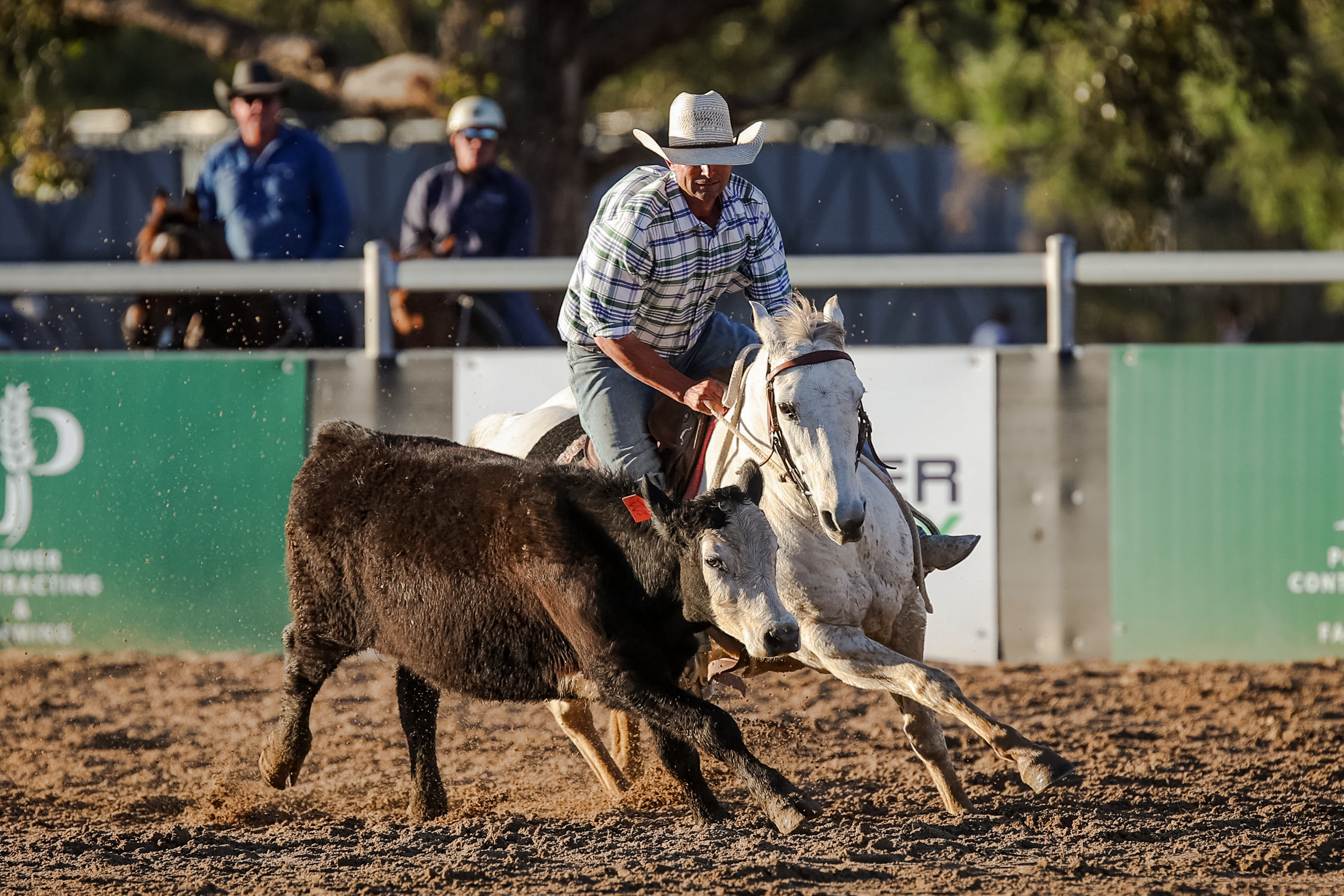 Clayton Hoch and LD Whictching Hour competing at Willinga at Juandah Plains