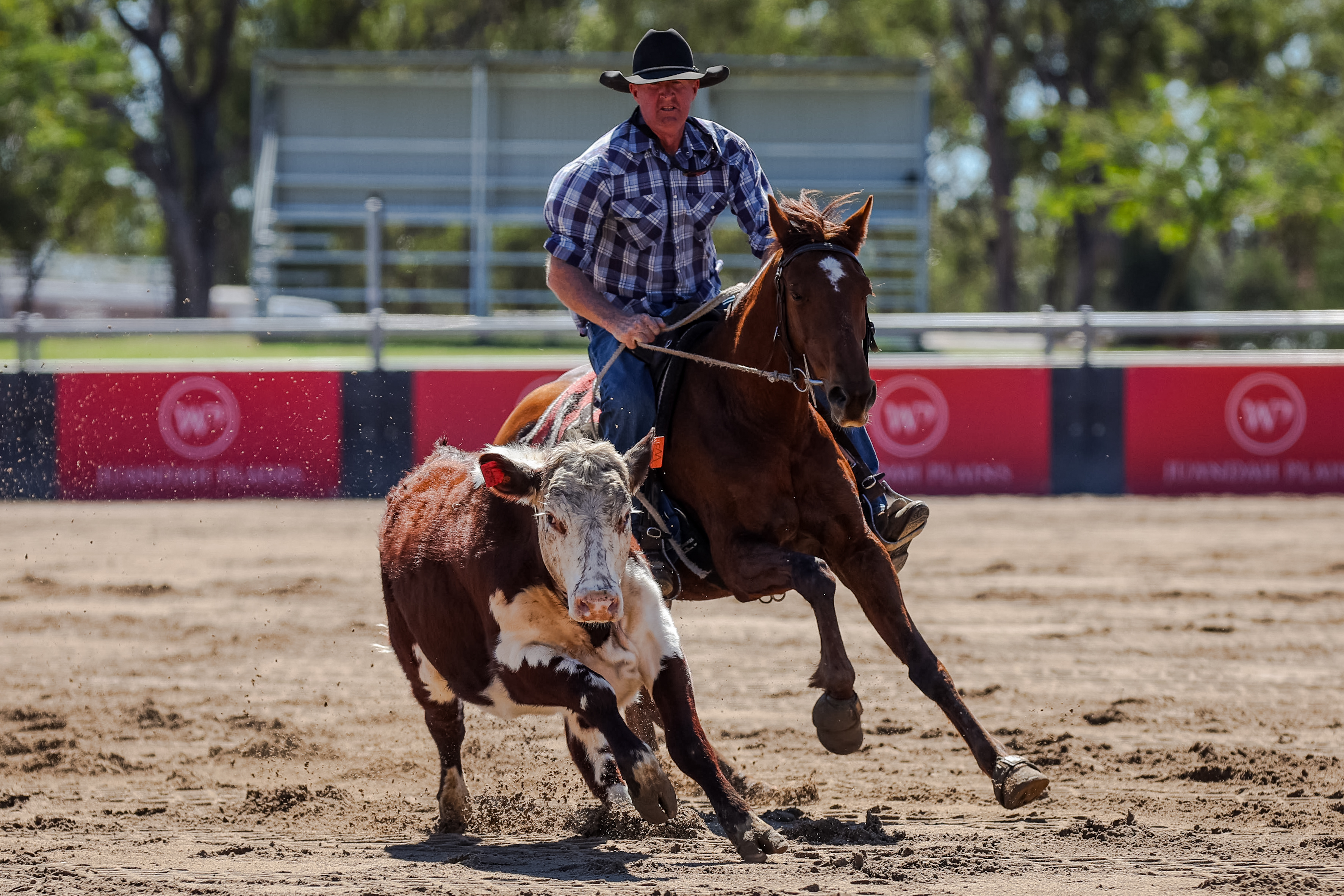 Peter O'Neill and Hatband competing at Willinga at Juandah Plains