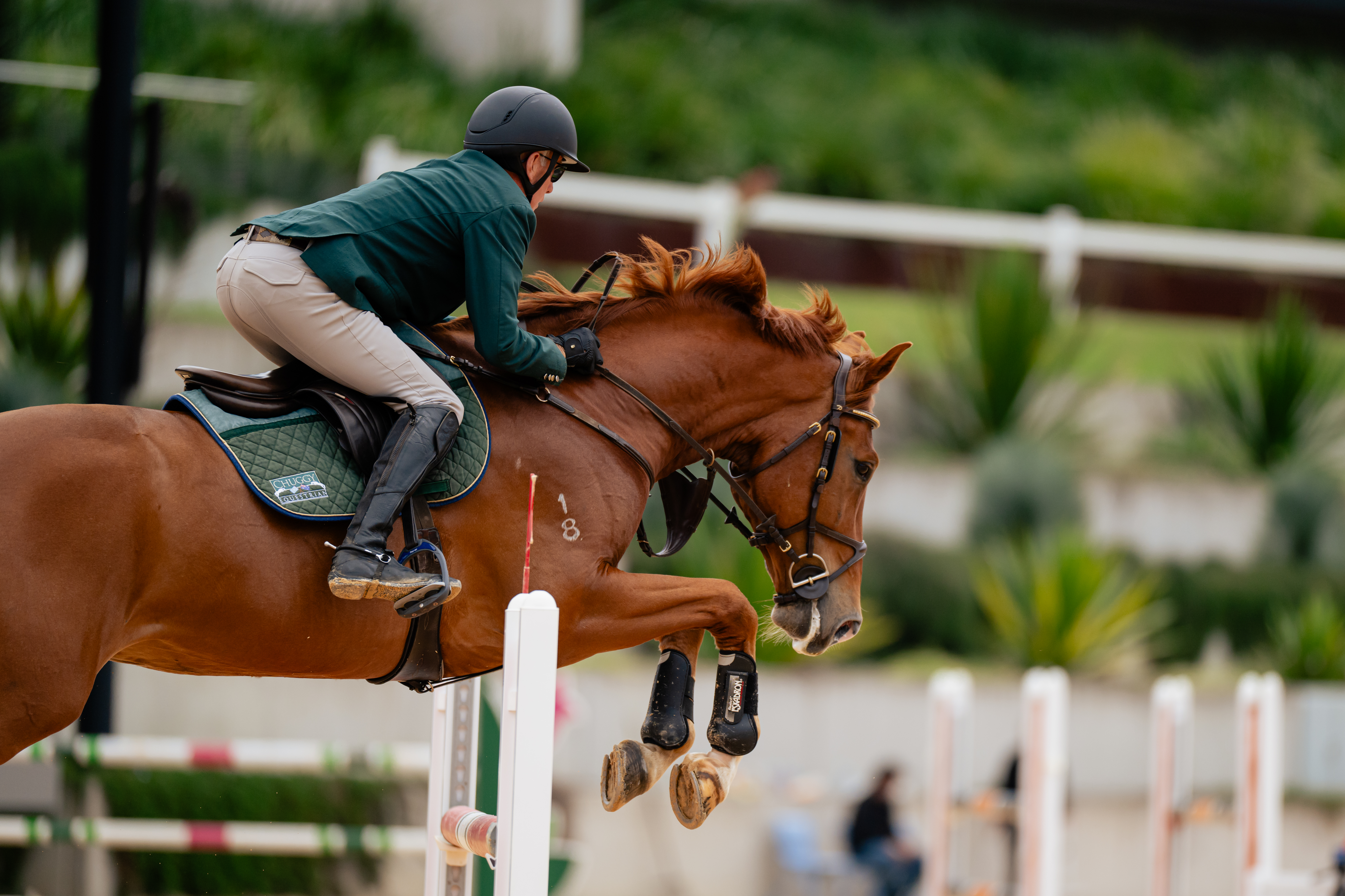 Chris Chugg and CF Freestyle at Jumping@Willinga