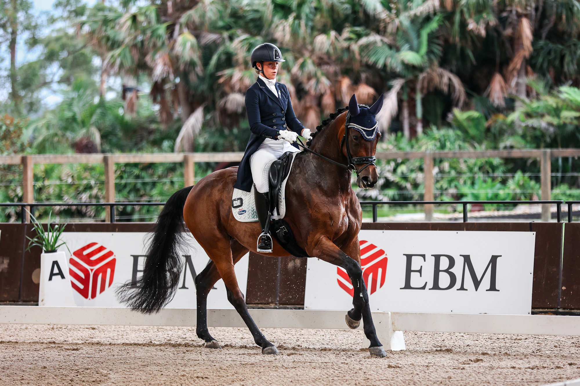 Dressage horse and rider at Willinga Park