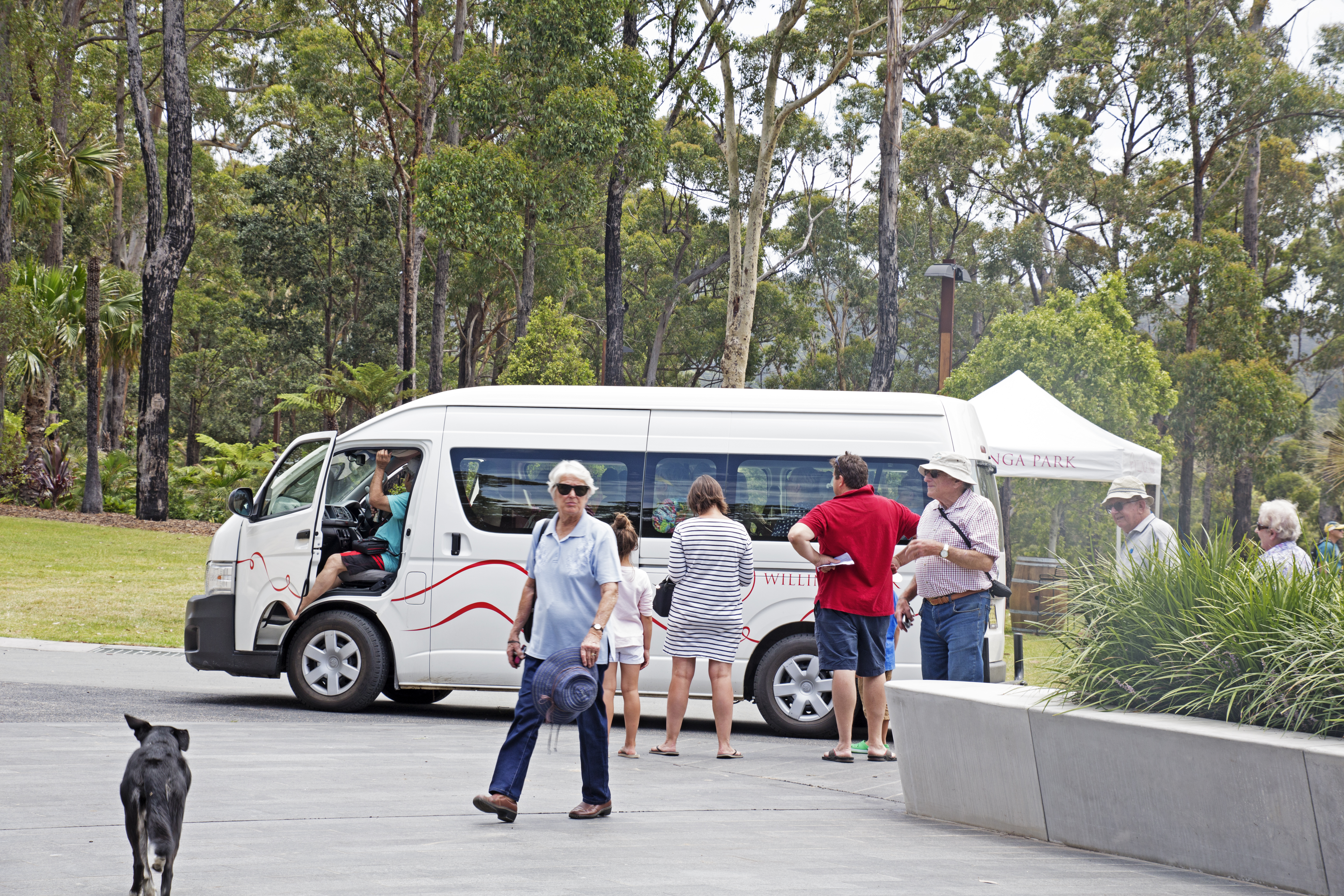Bus tours at Willinga Park