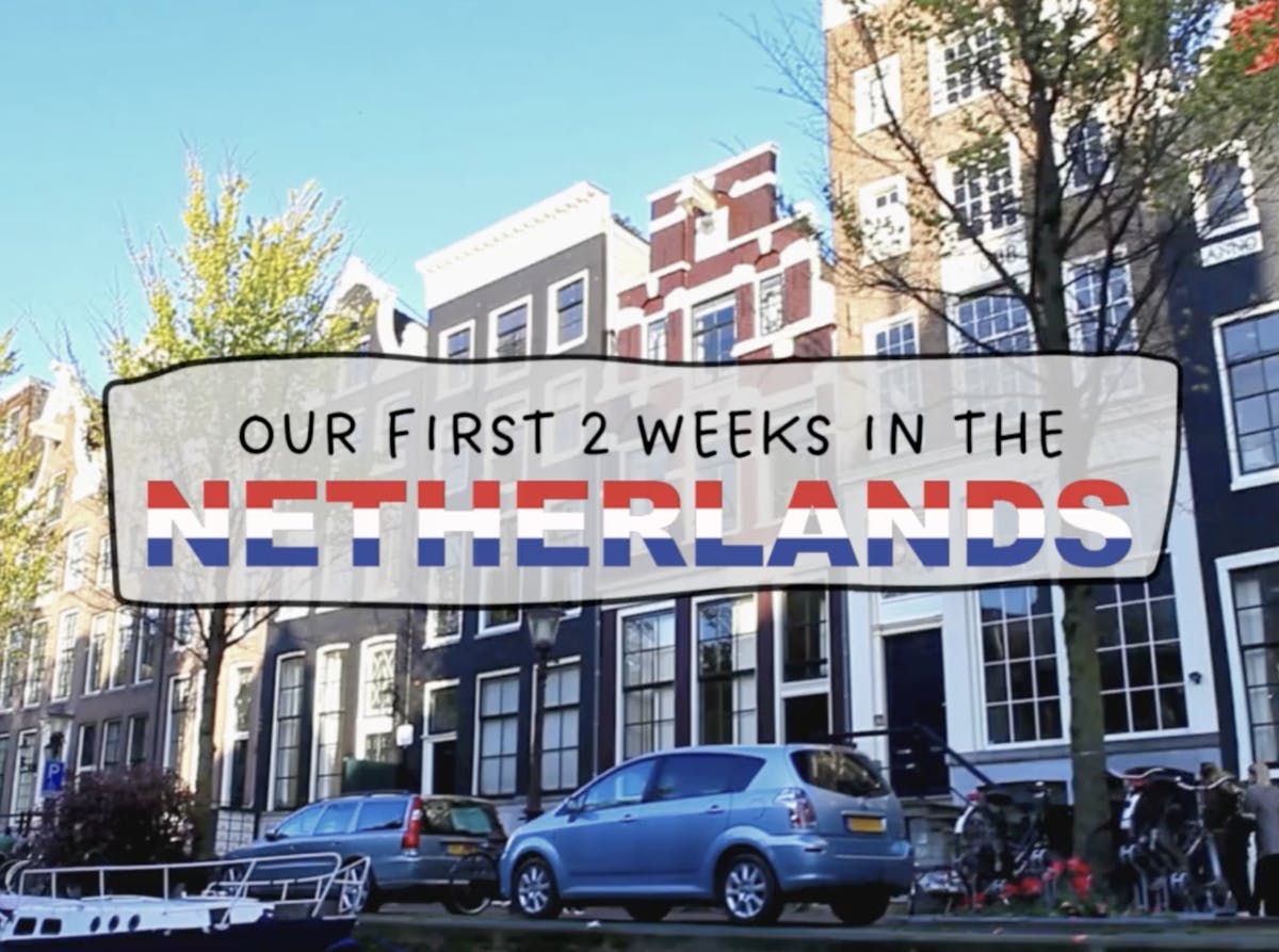 Our First 2 Weeks