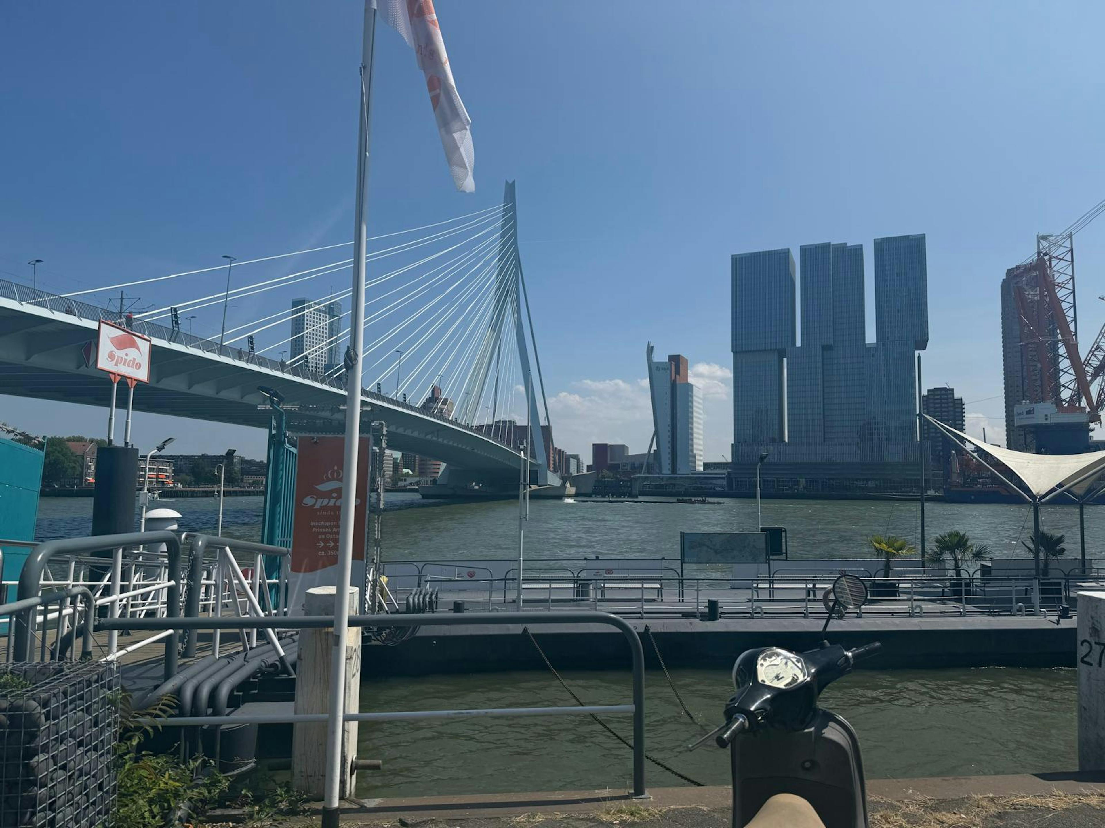 Erasmus bridge