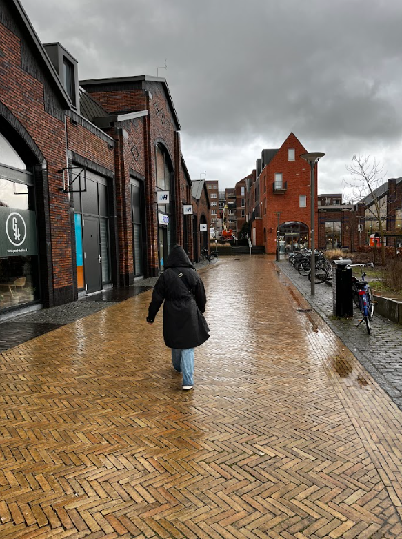 Walking in the Netherlands