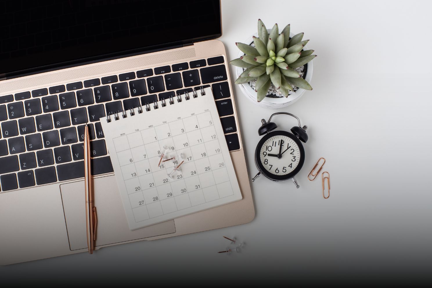 Netherlands Relocation Checklist for South Africans