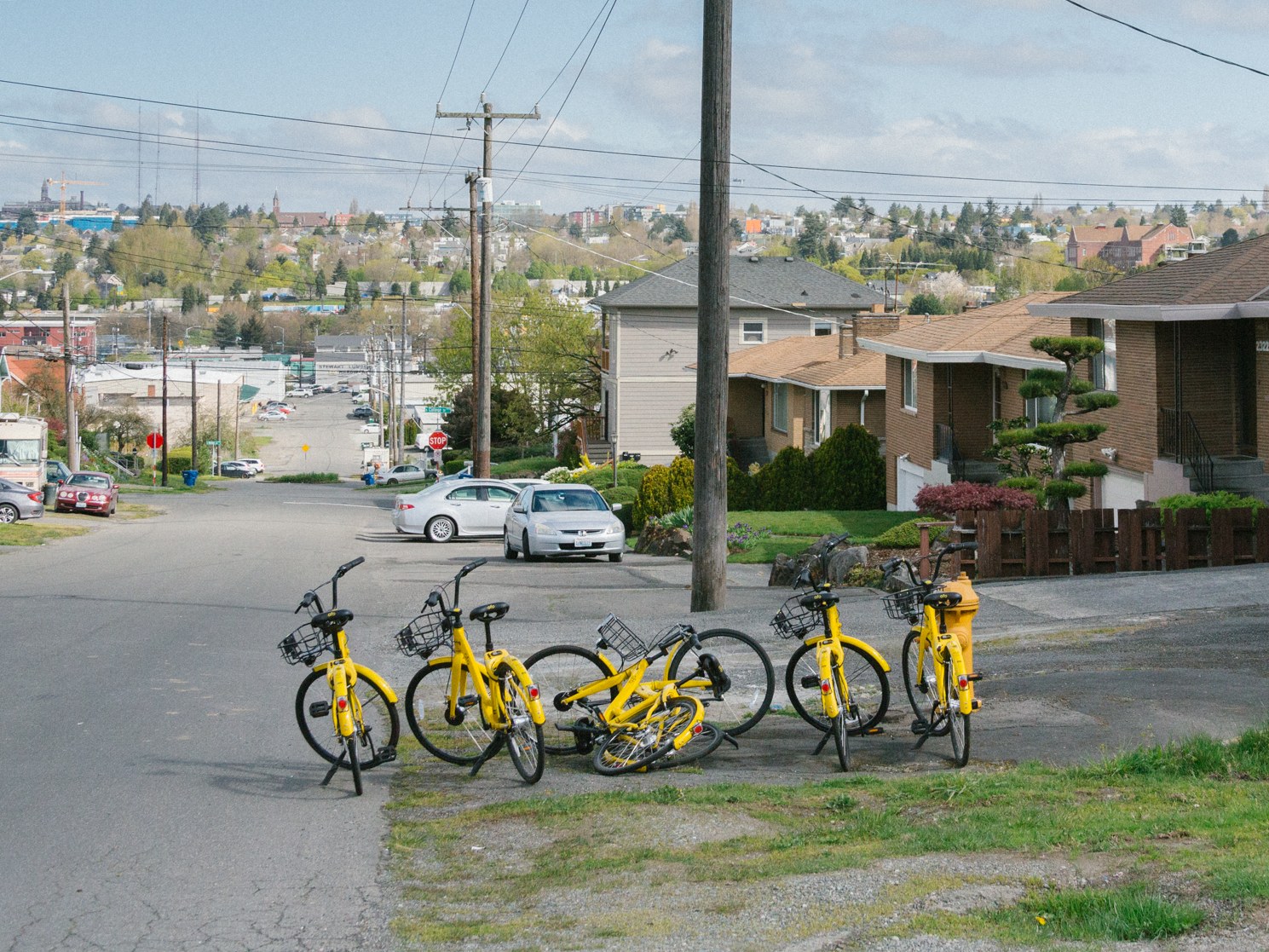 Public bicycle companies best sale