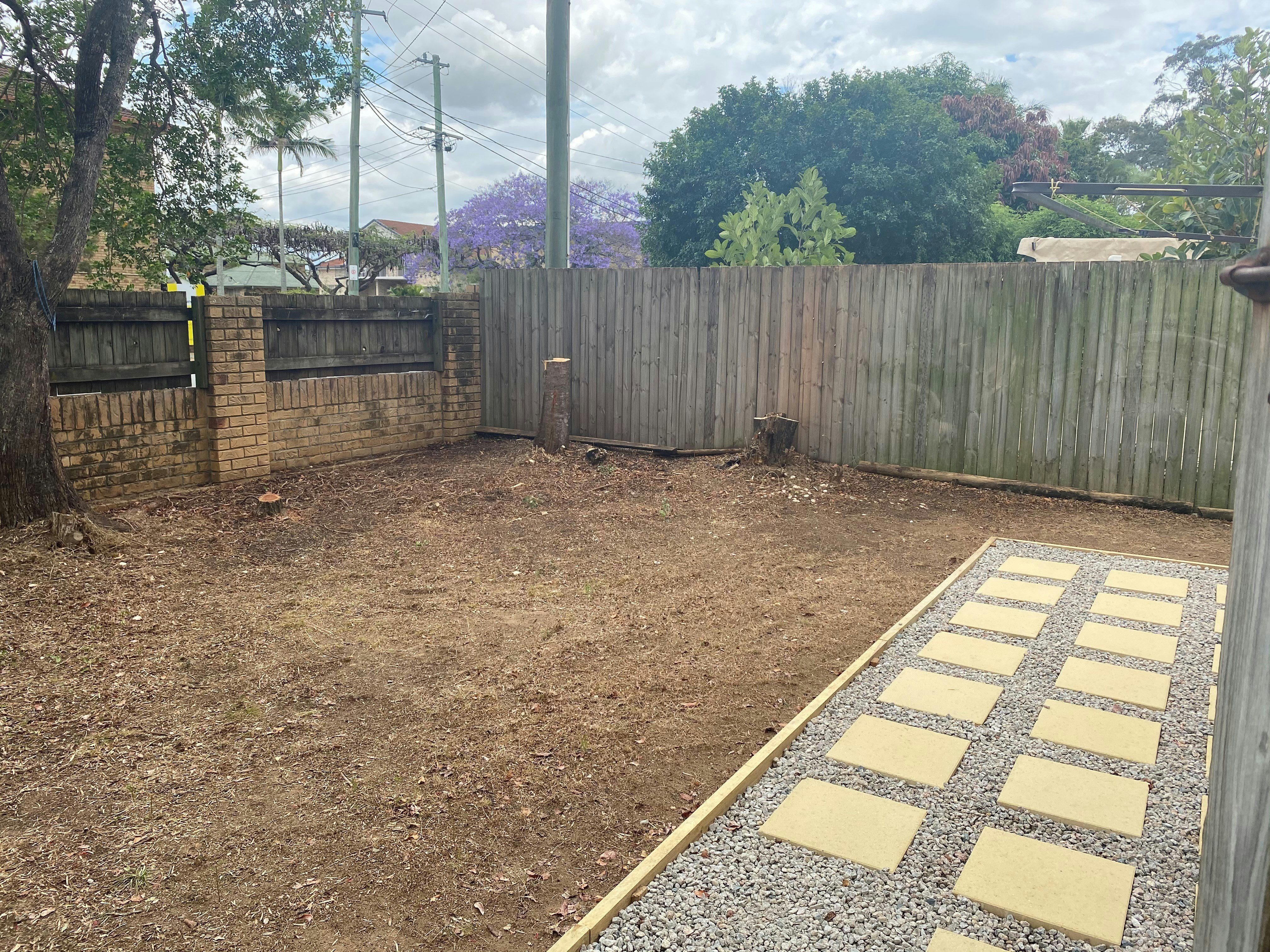 Image of backyard