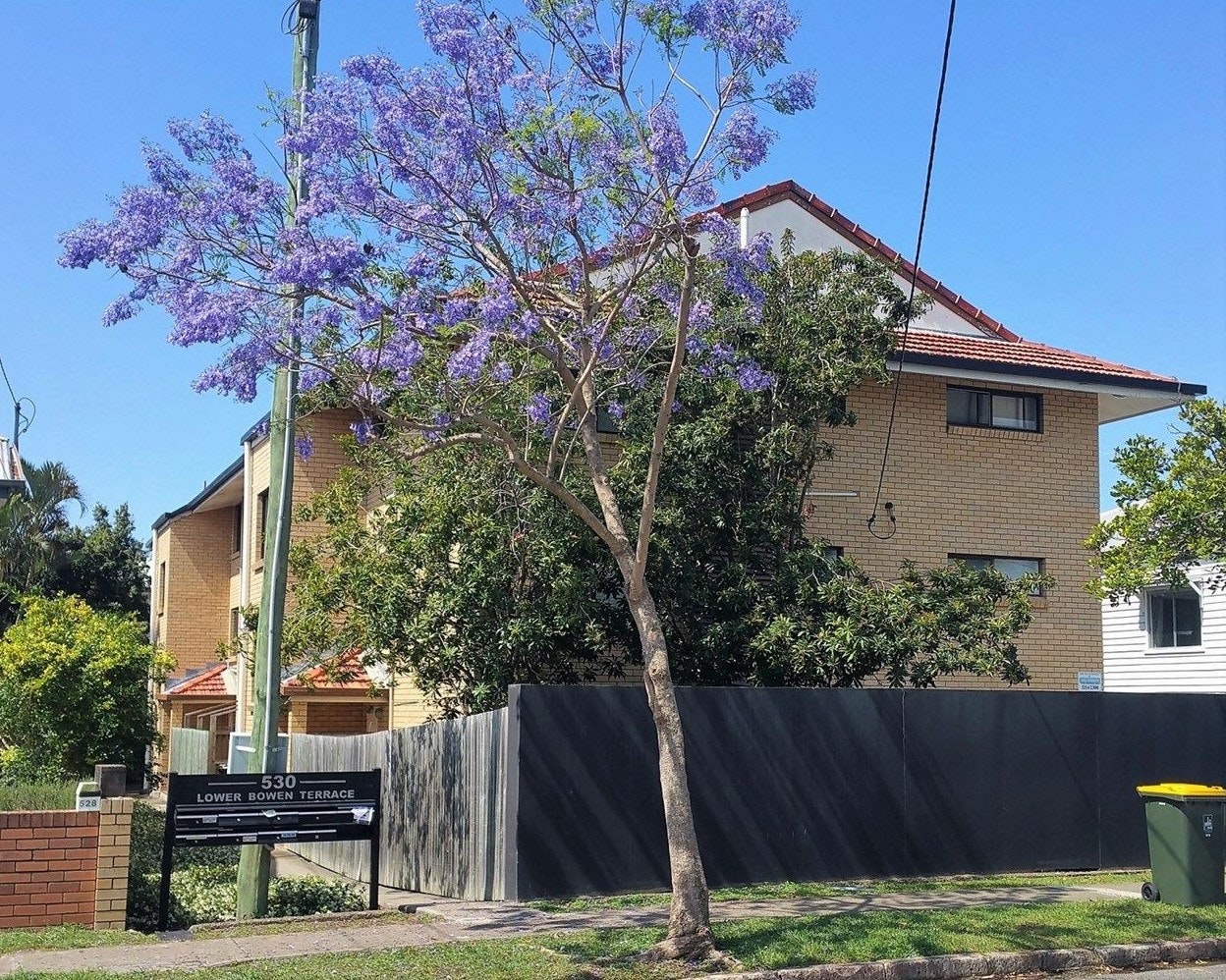 Image of oak