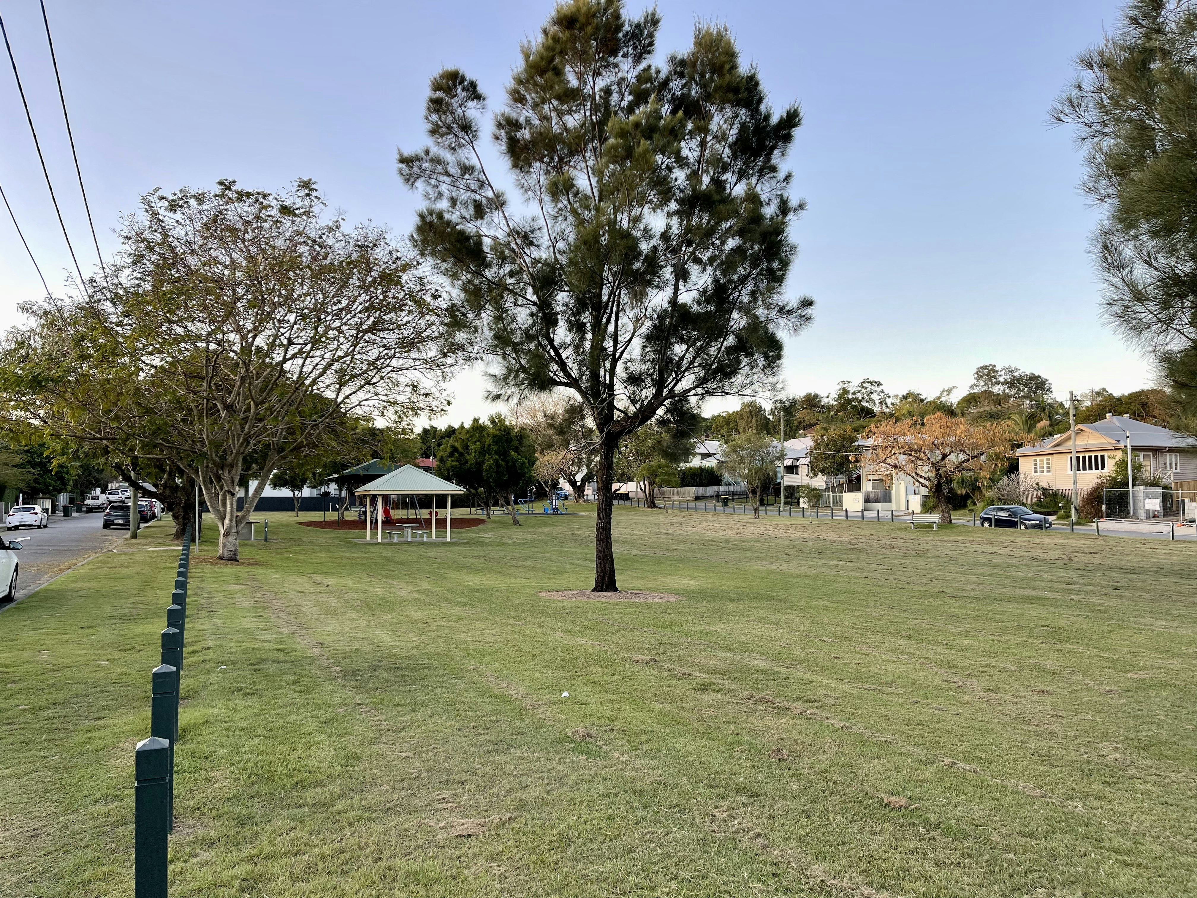 Image of grass