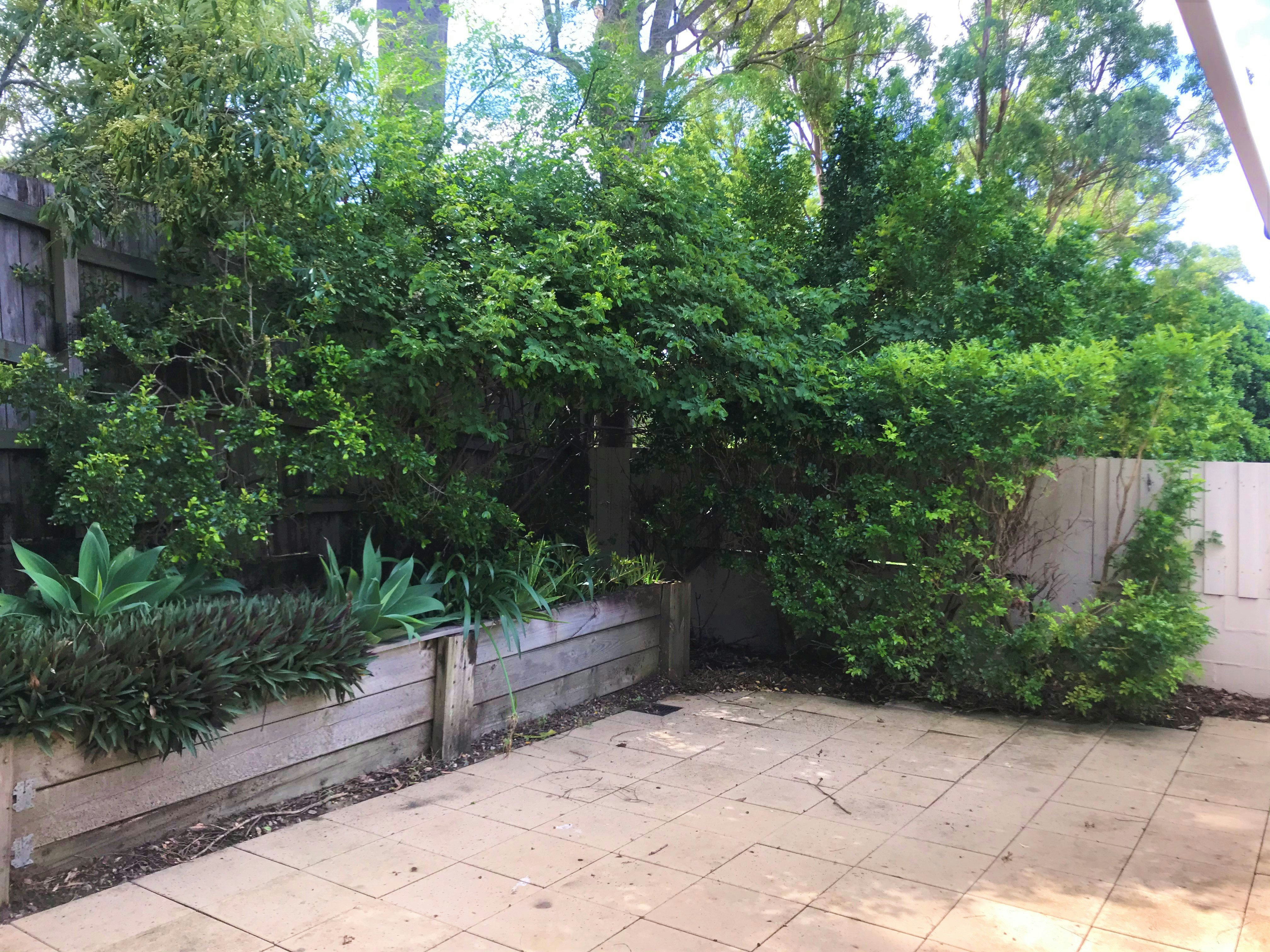 Image of backyard