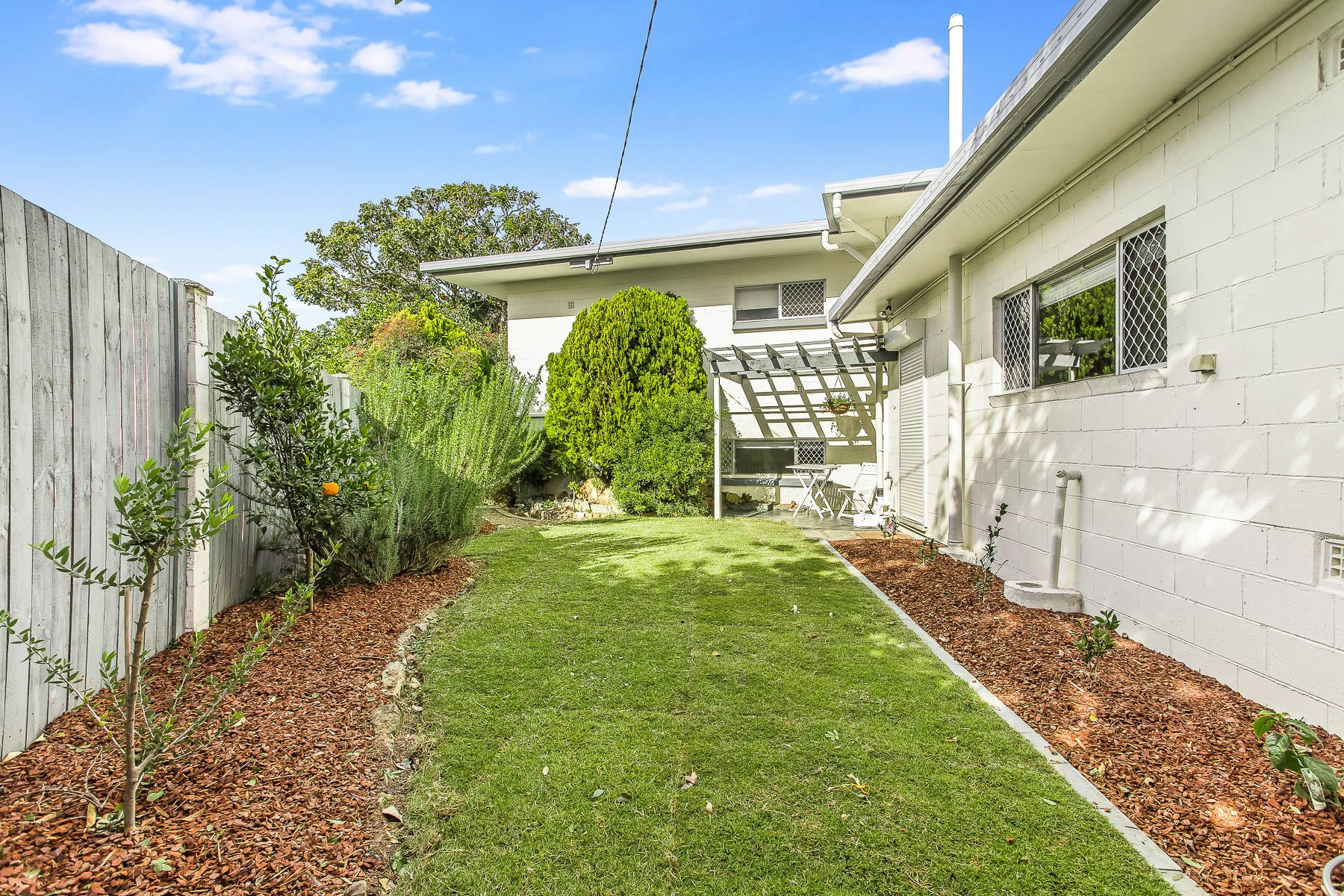 Image of backyard