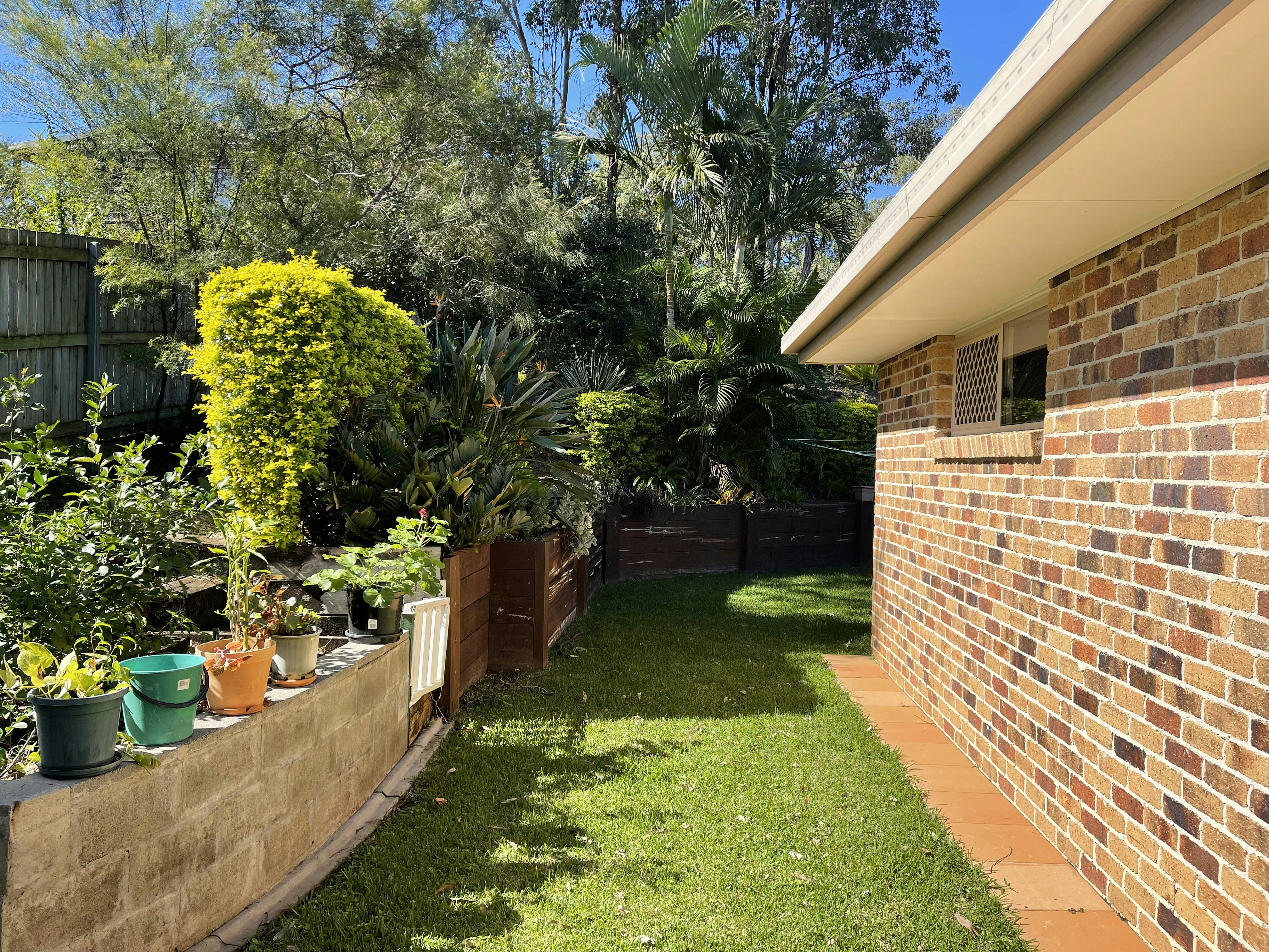Image of backyard