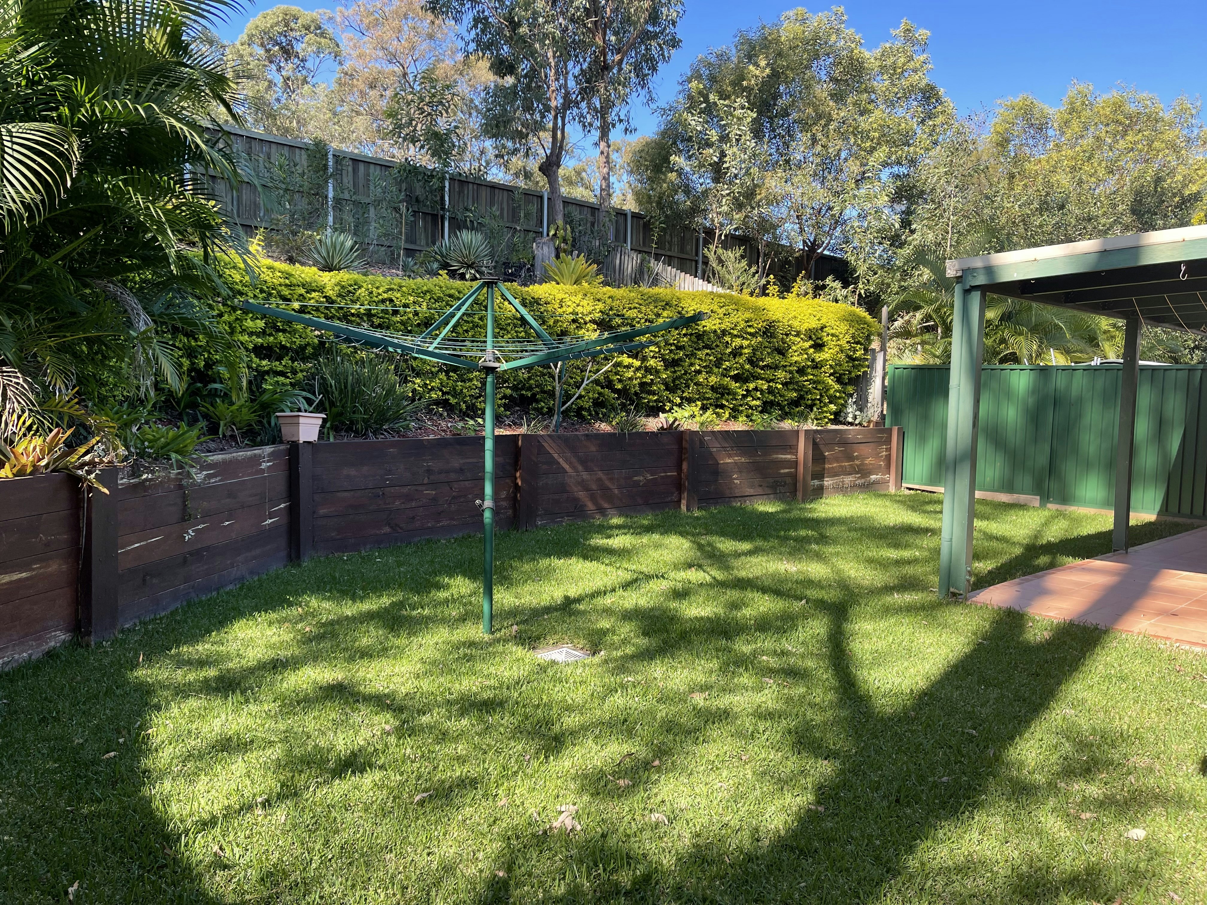 Image of backyard