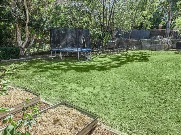 Image of backyard