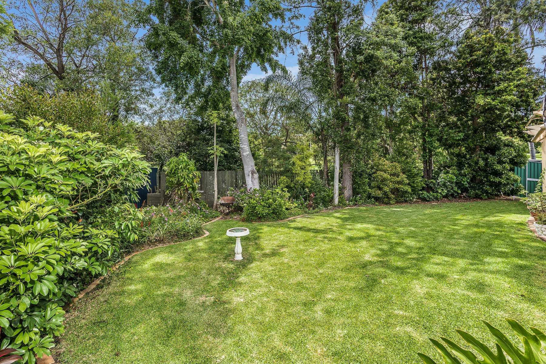 Image of backyard
