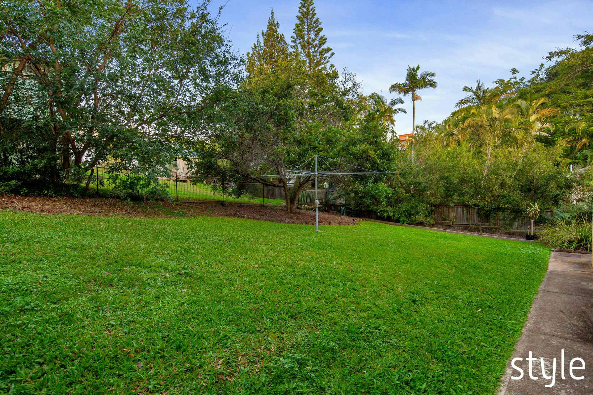Image of grass