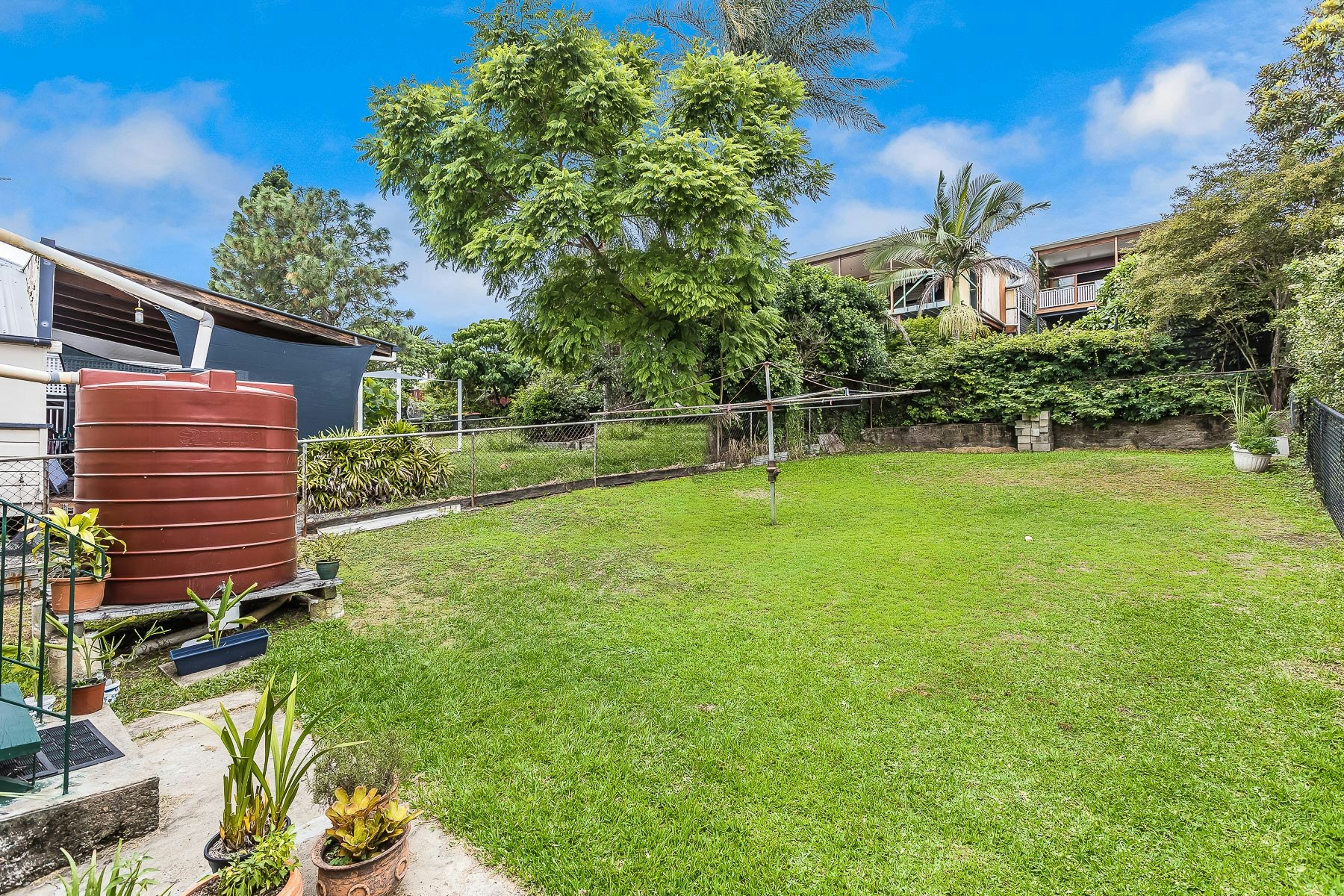 Image of backyard