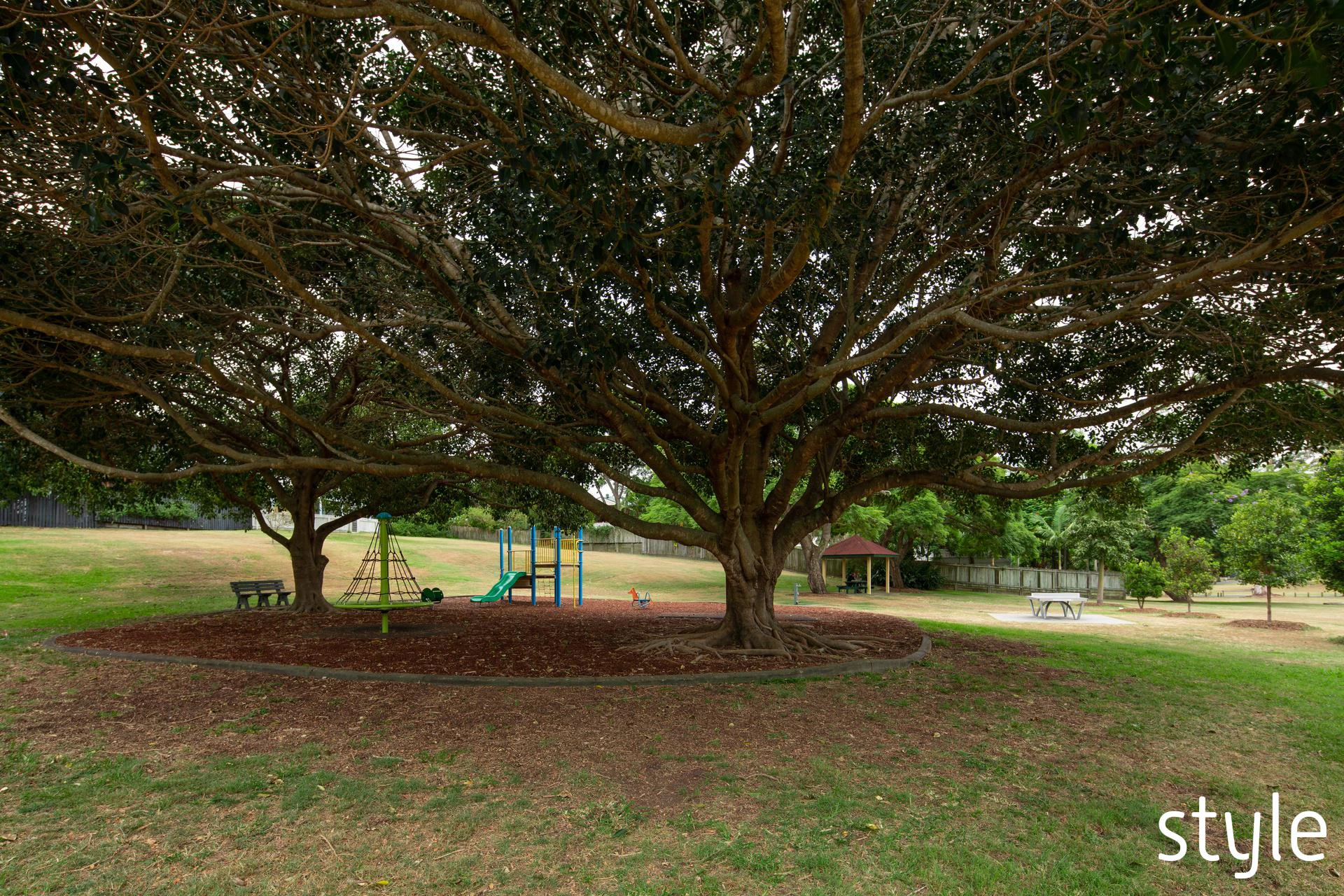 tree