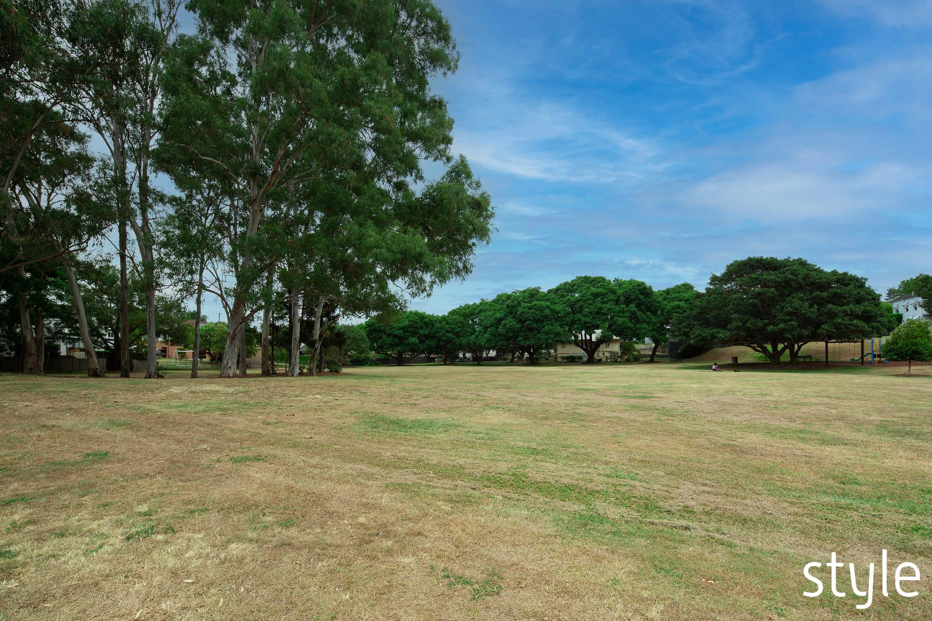 grass