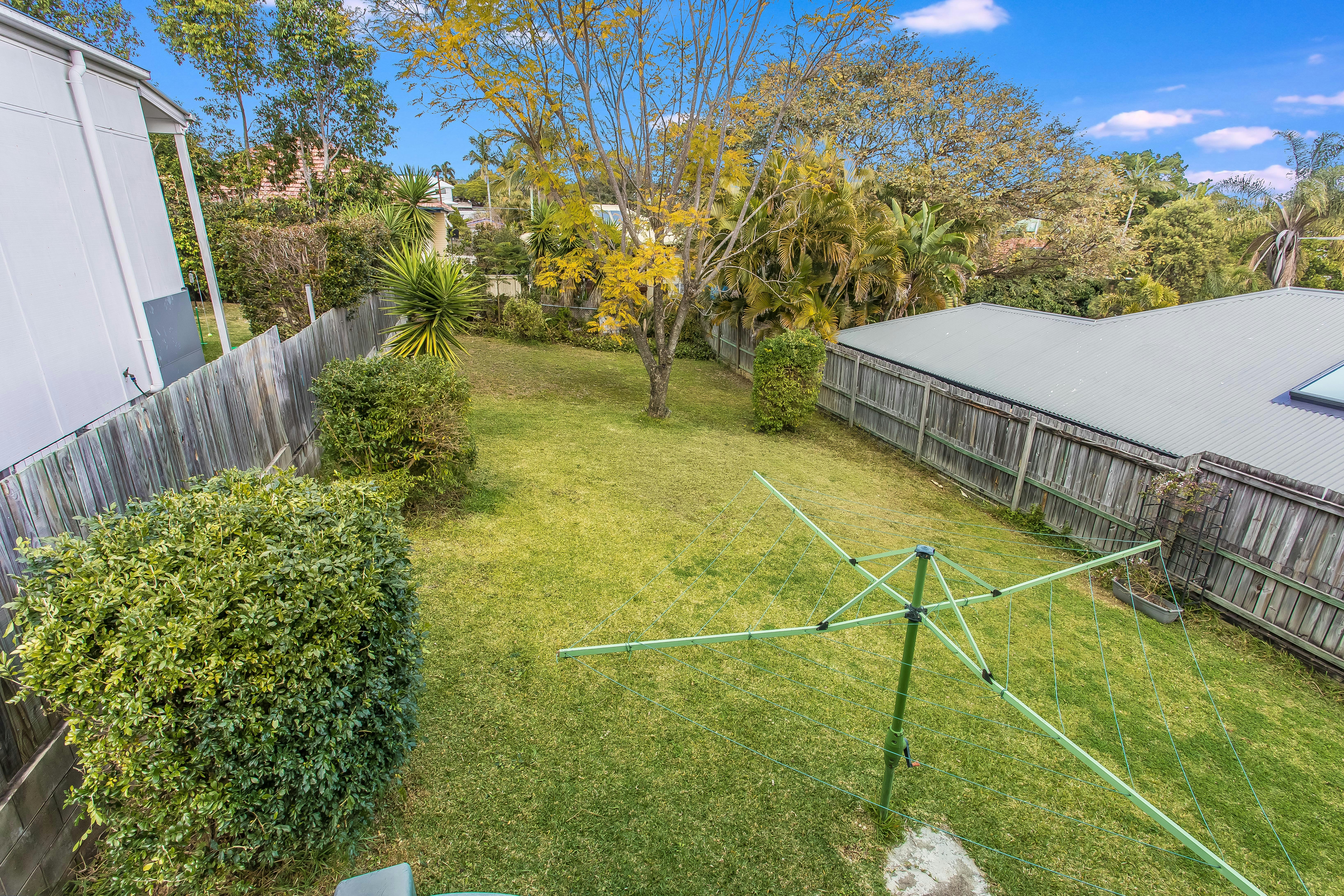 Image of backyard