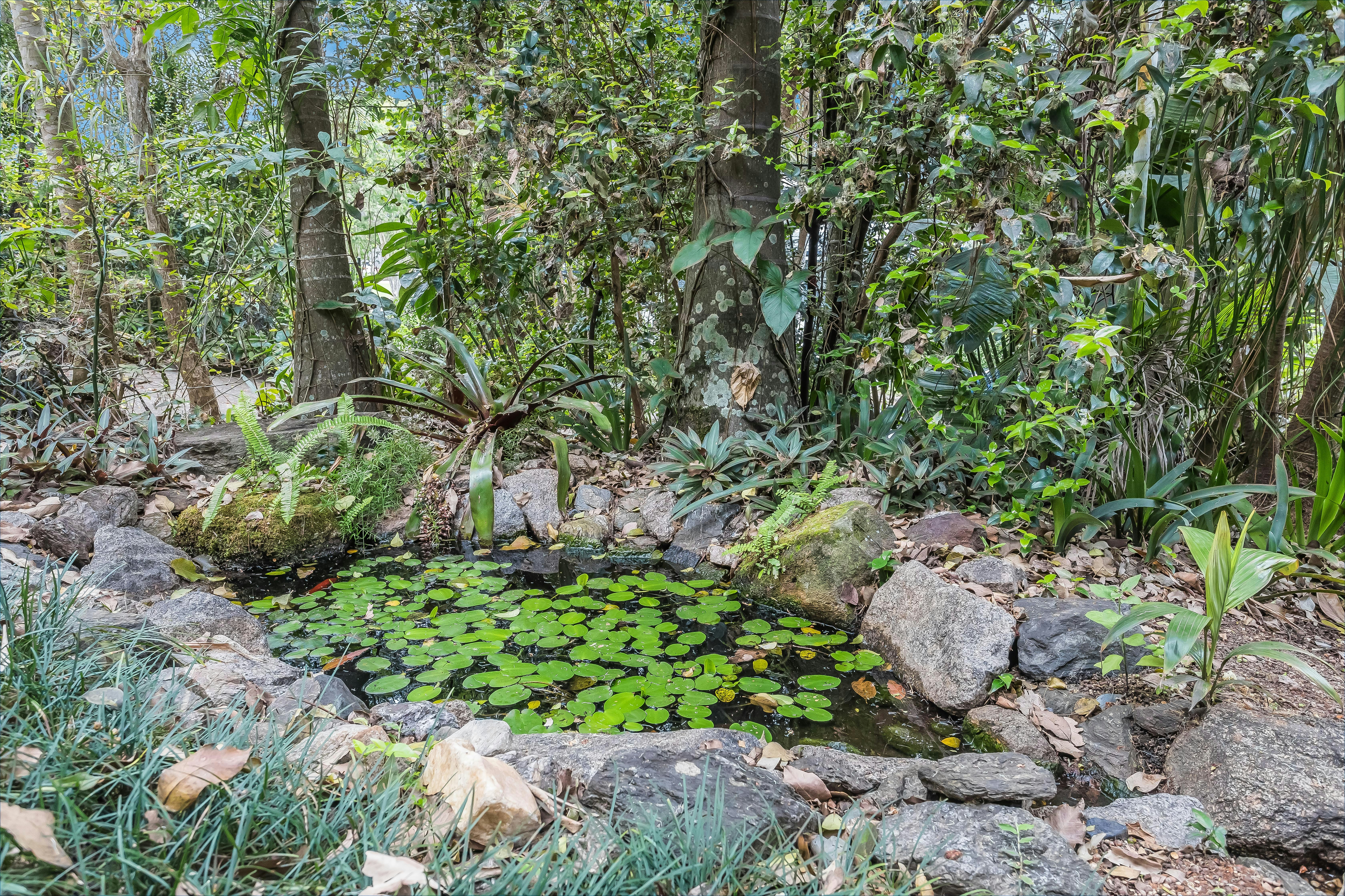 Image of land
