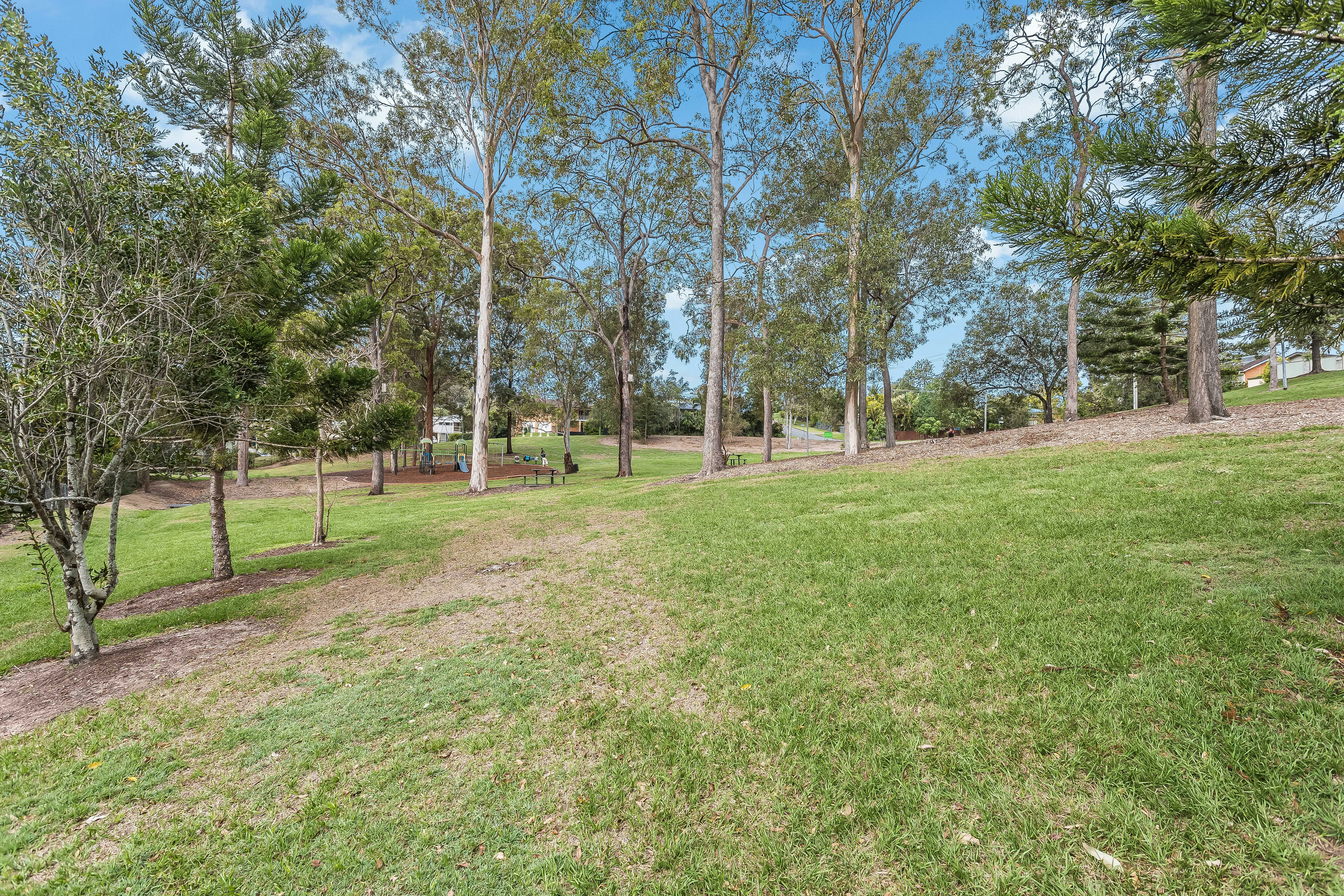 Image of grass