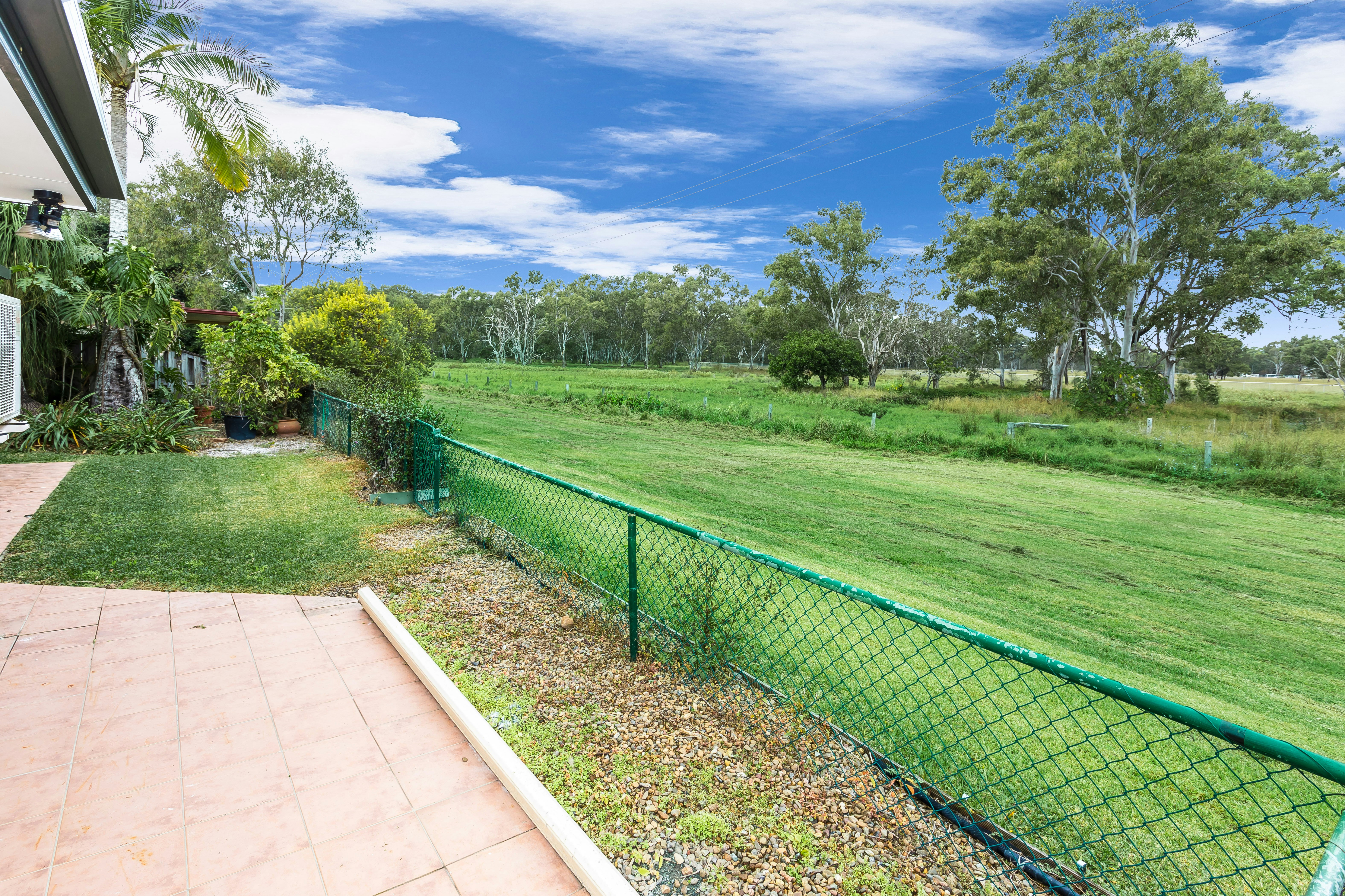 Image of grass