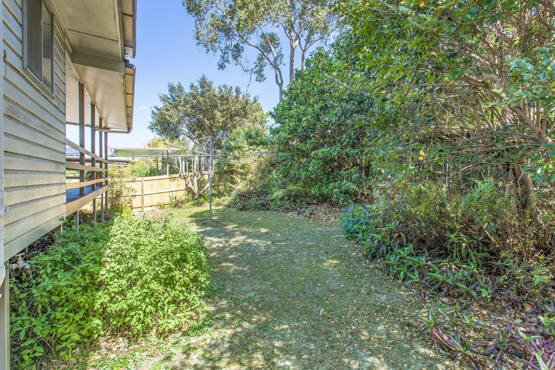backyard