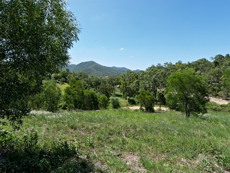Image of vegetation