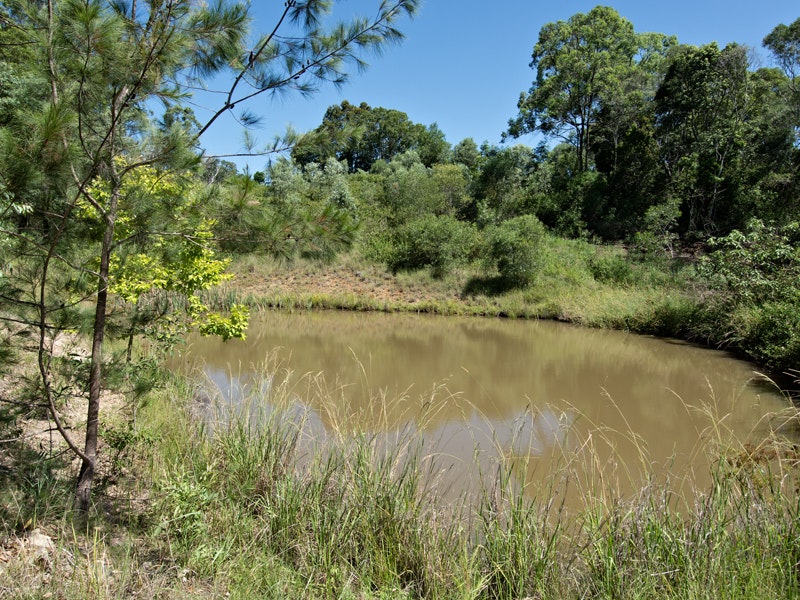Image of nature