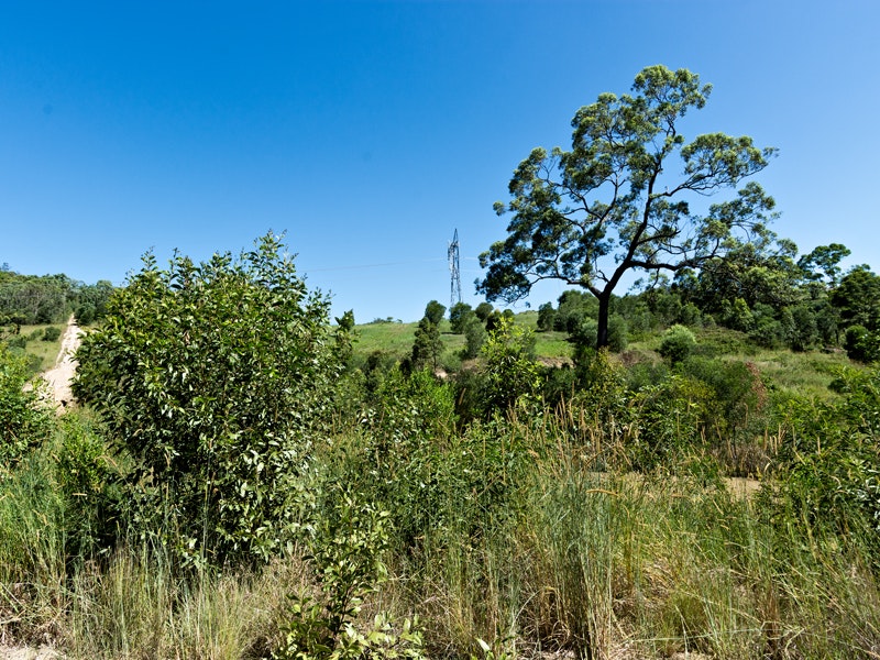 Image of field