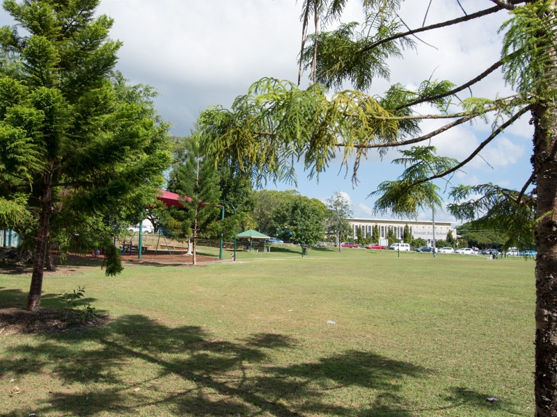Image of grass