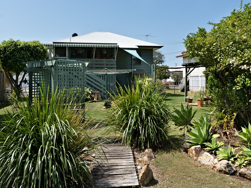 Image of agavaceae