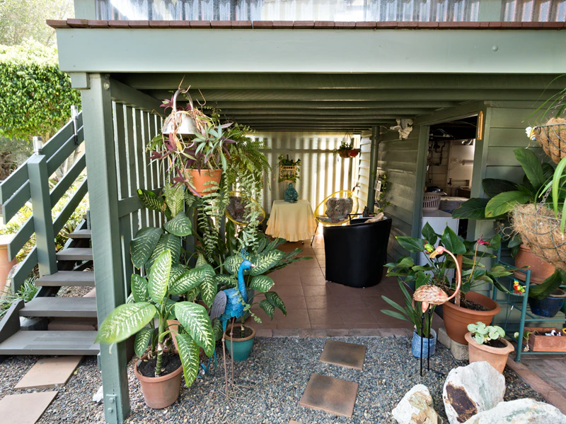 plant