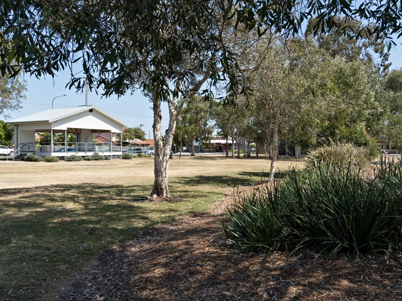 Image of grass