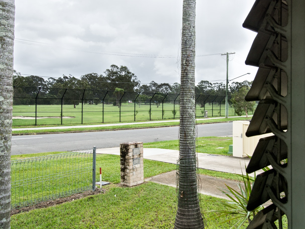 Image of grass