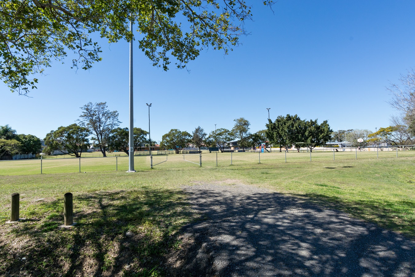 Image of grass