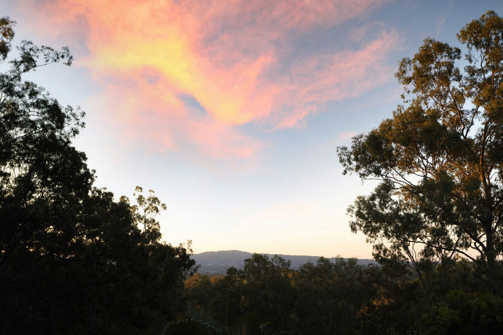 Image of nature
