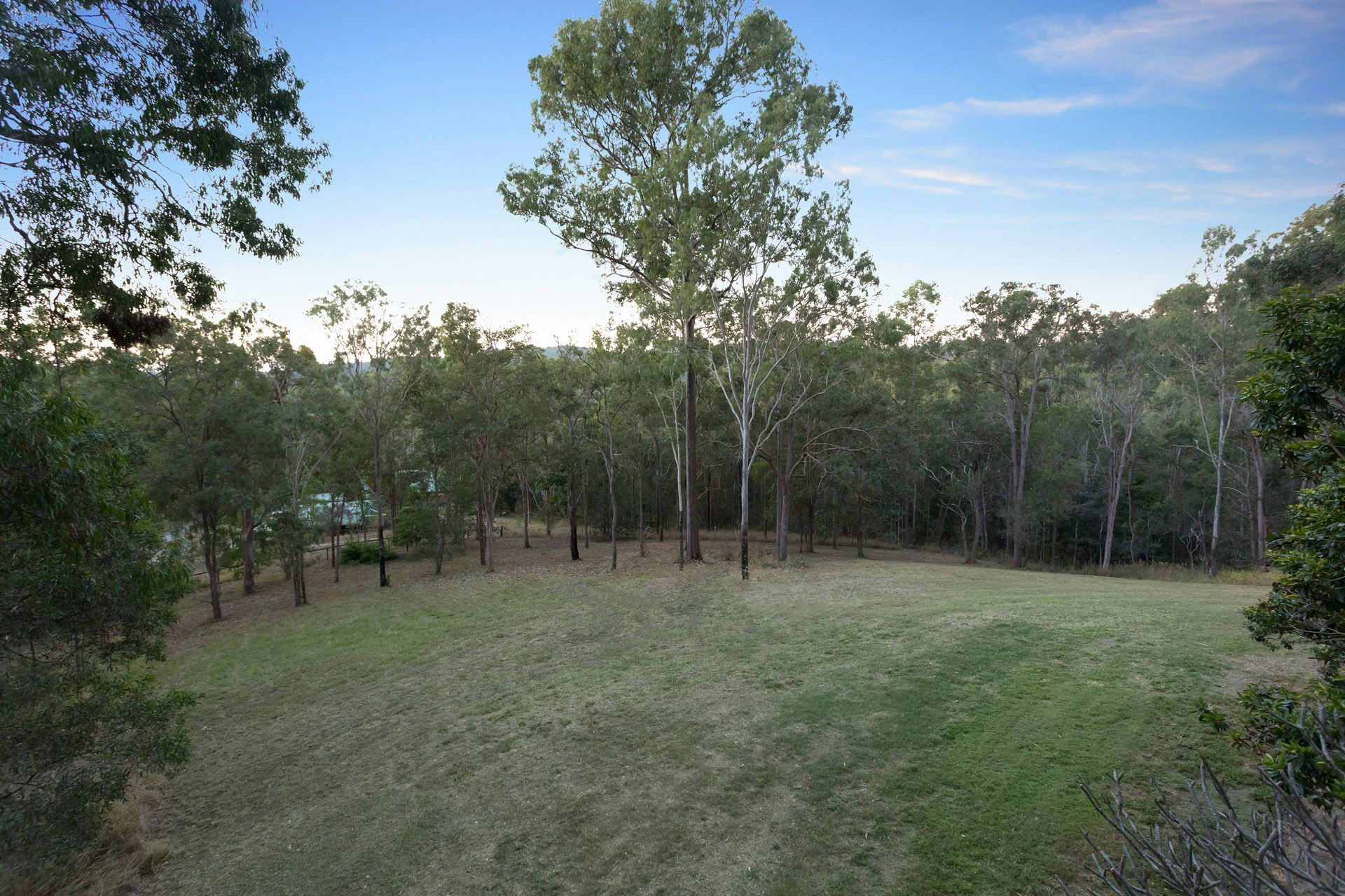 Image of grass