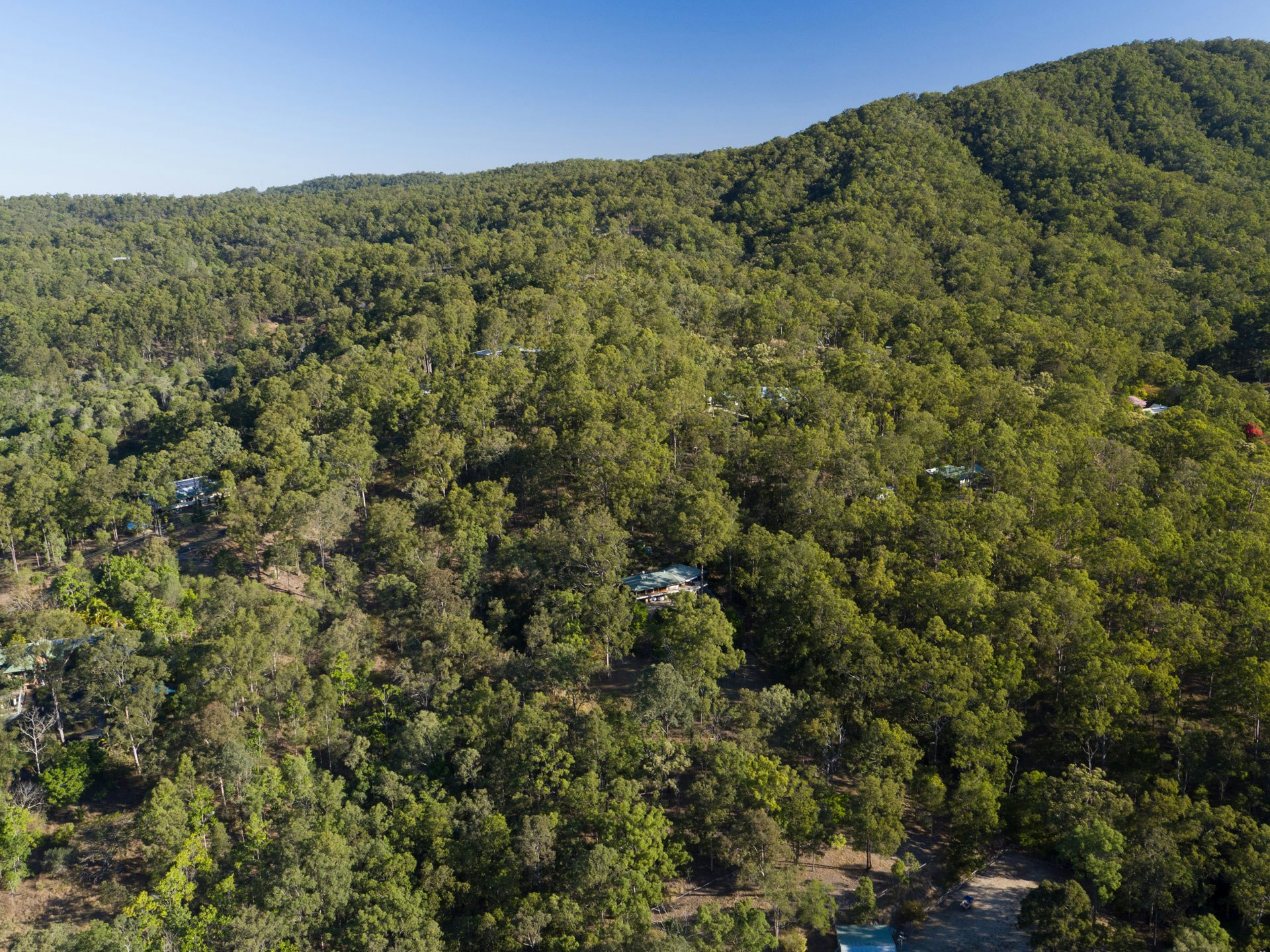 Image of vegetation
