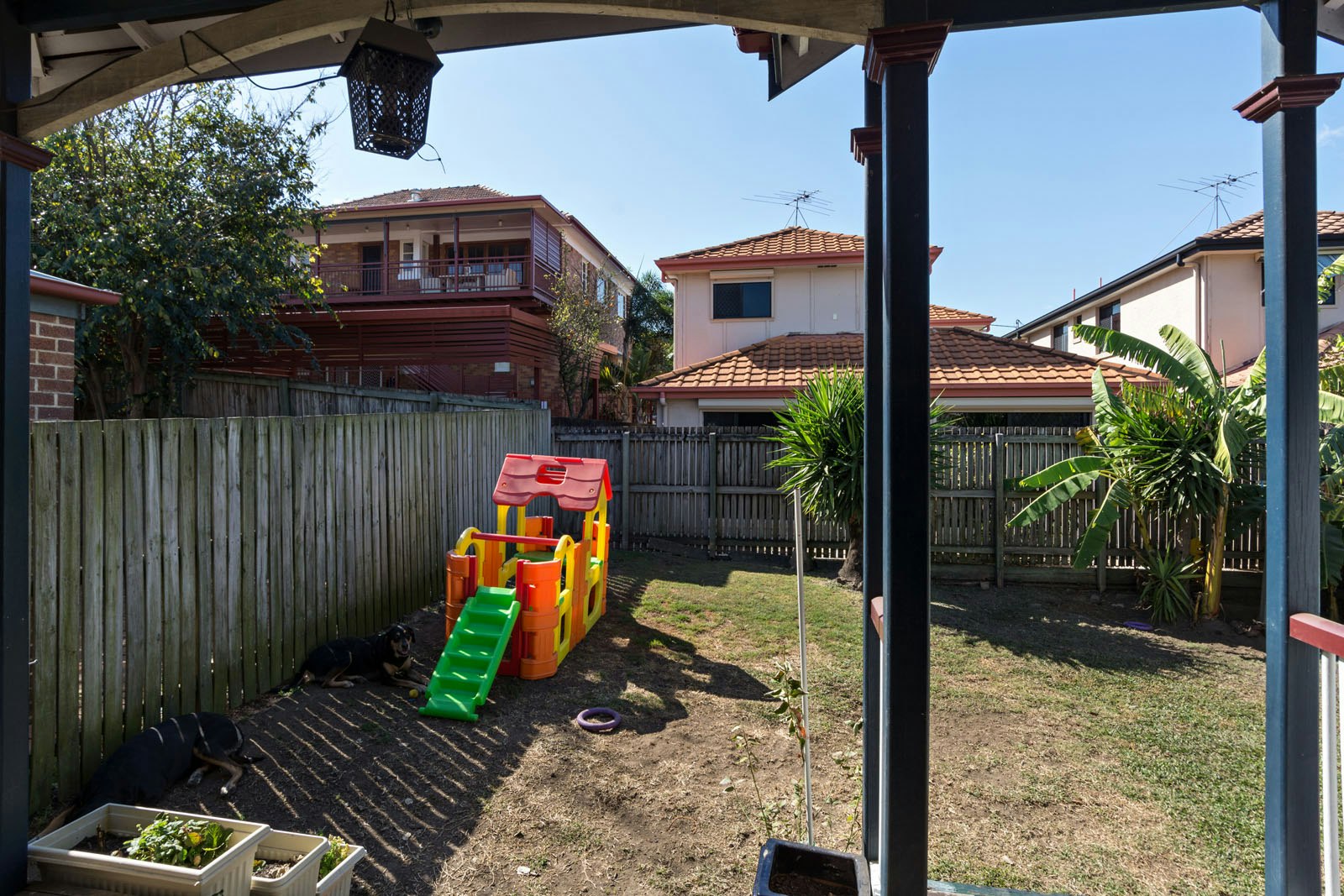Image of backyard