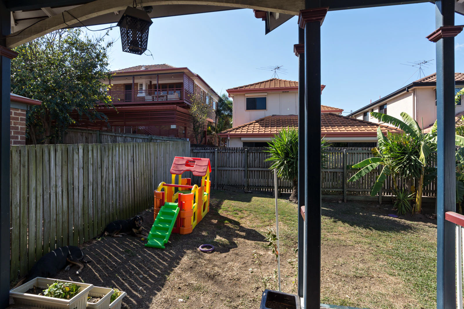 backyard