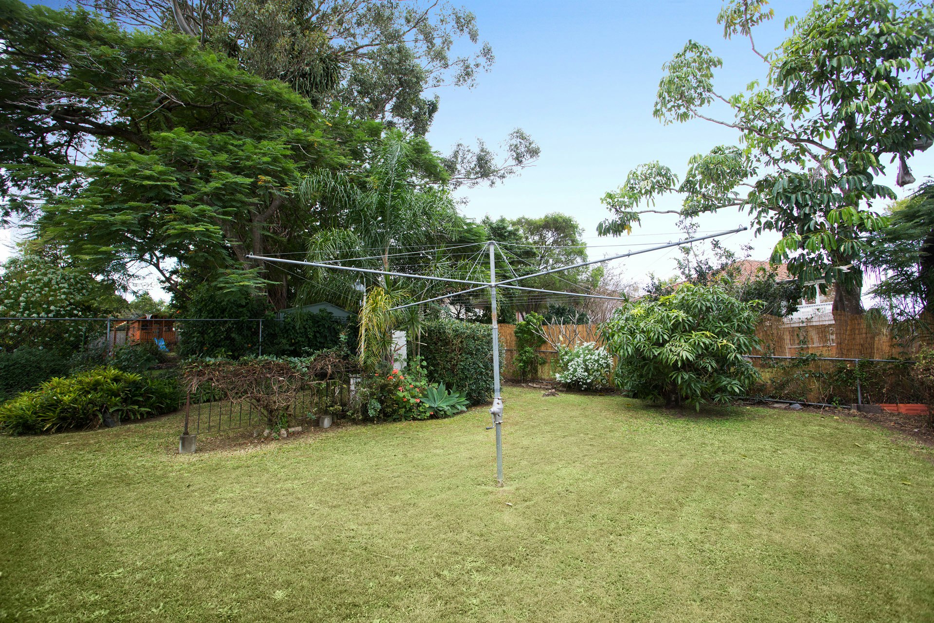 Image of backyard