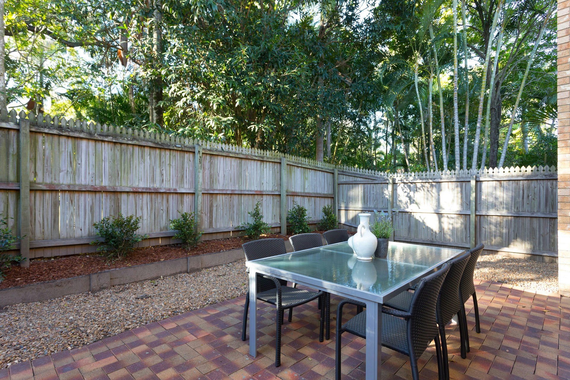 Image of backyard