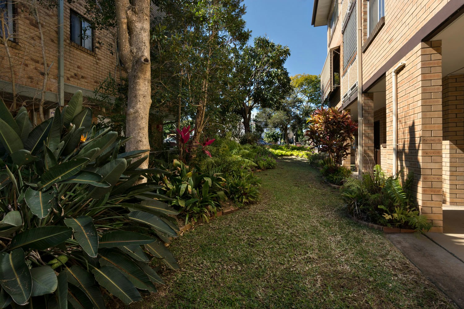 Image of neighborhood