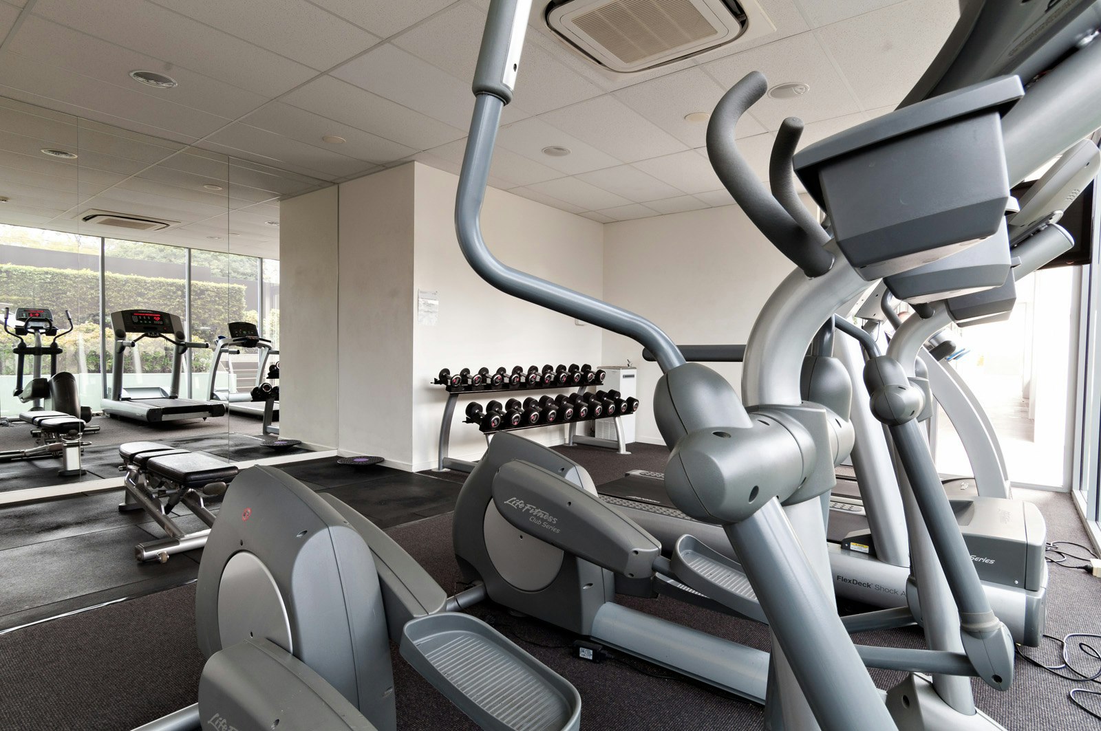 fitness