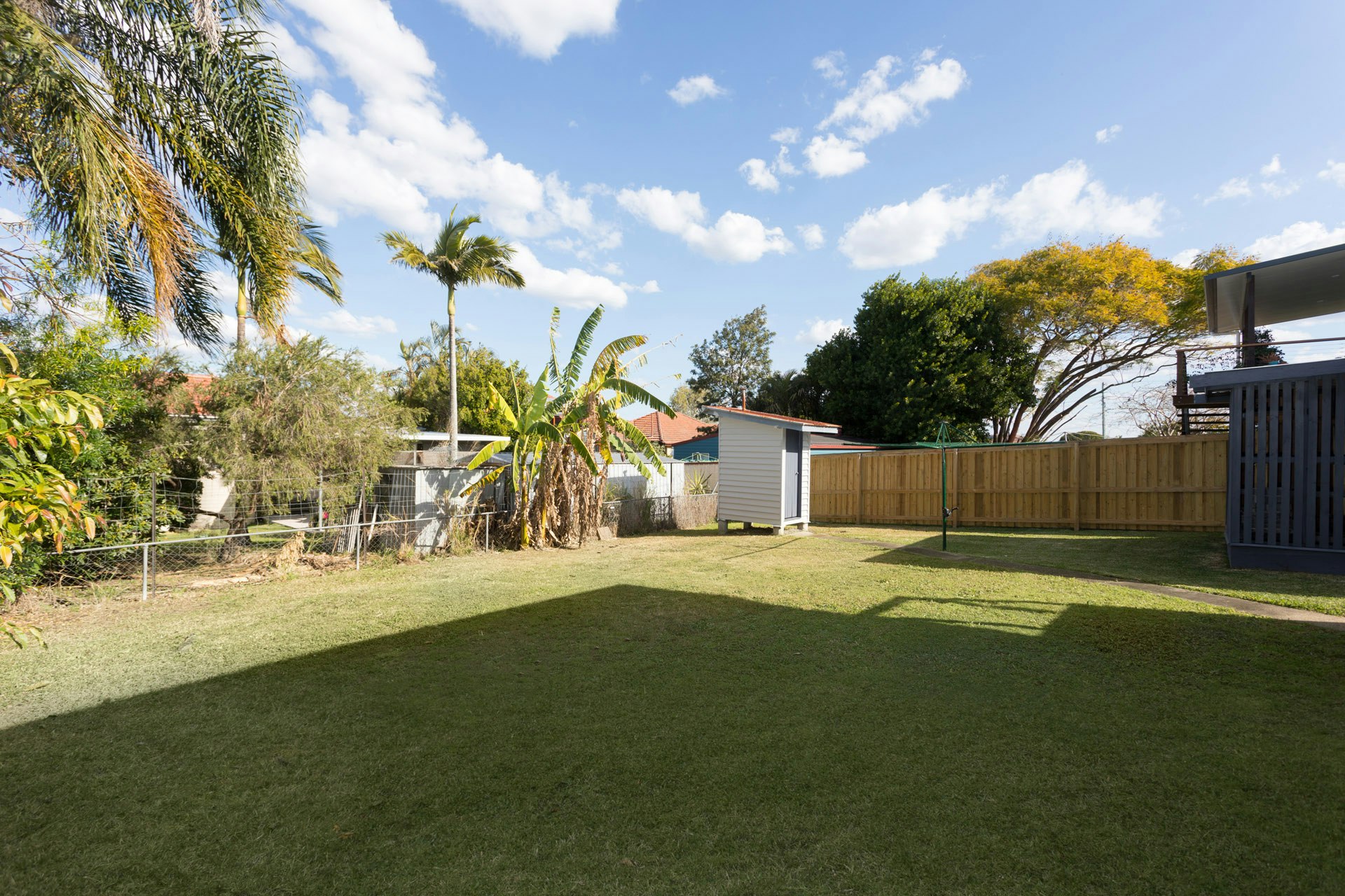 Image of backyard