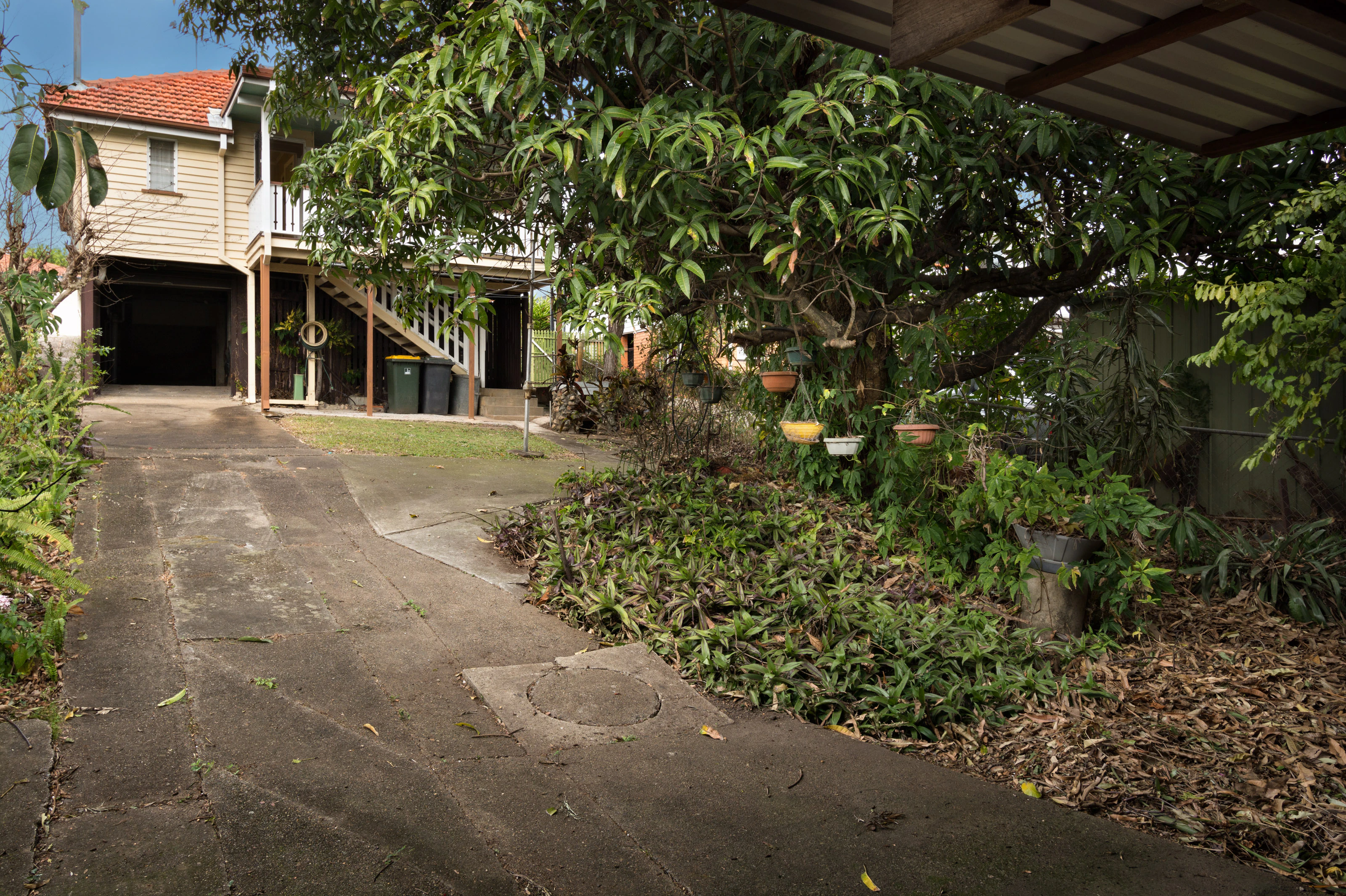 garden