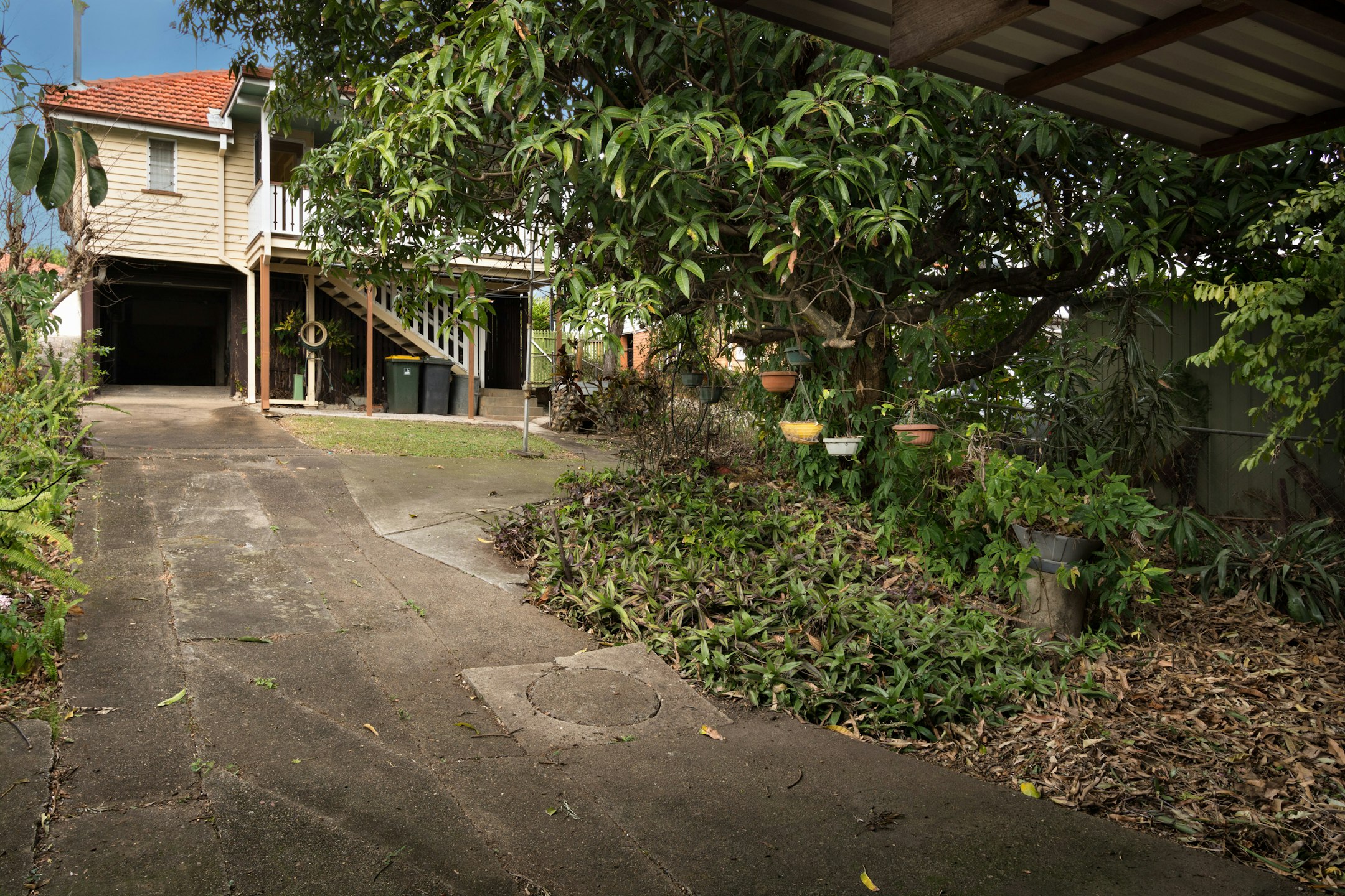 garden